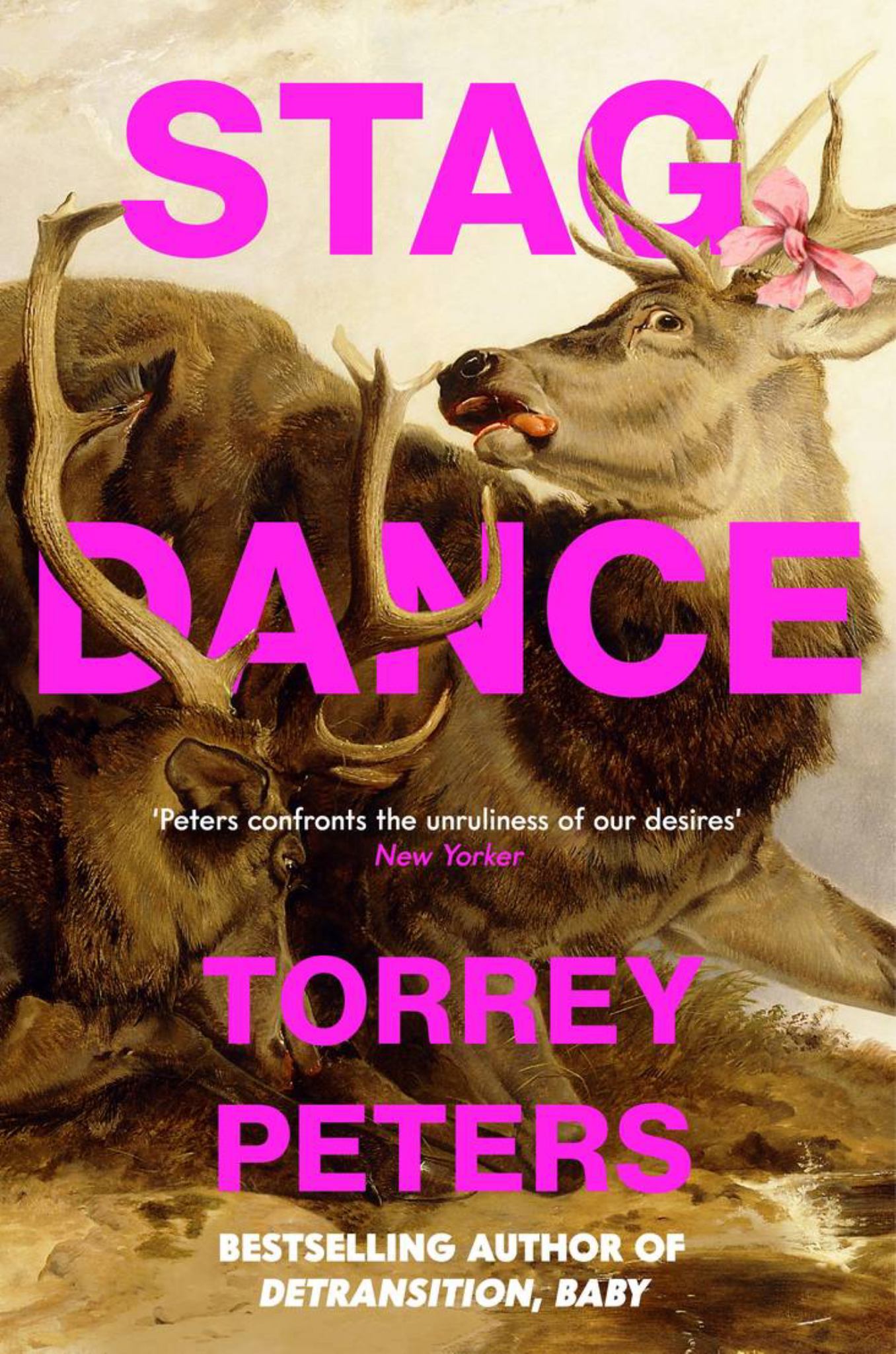 Stag Dance Cover Image