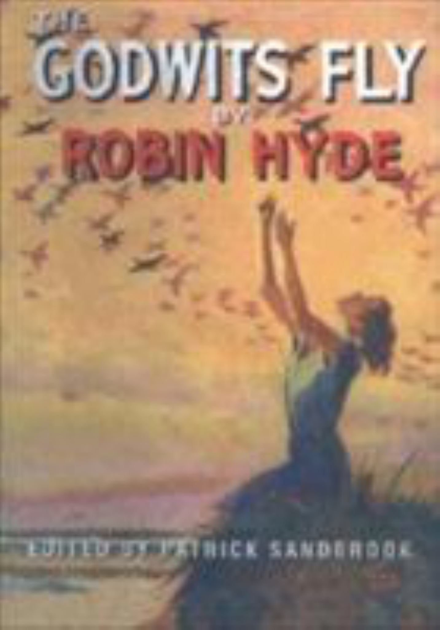 Godwits Fly Cover Image