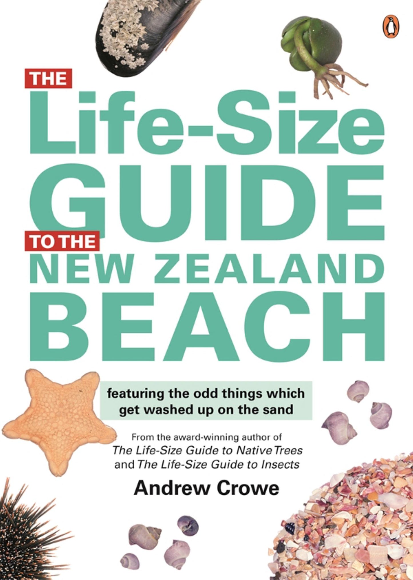 Lifesize Guide to the NZ Beach Cover Image