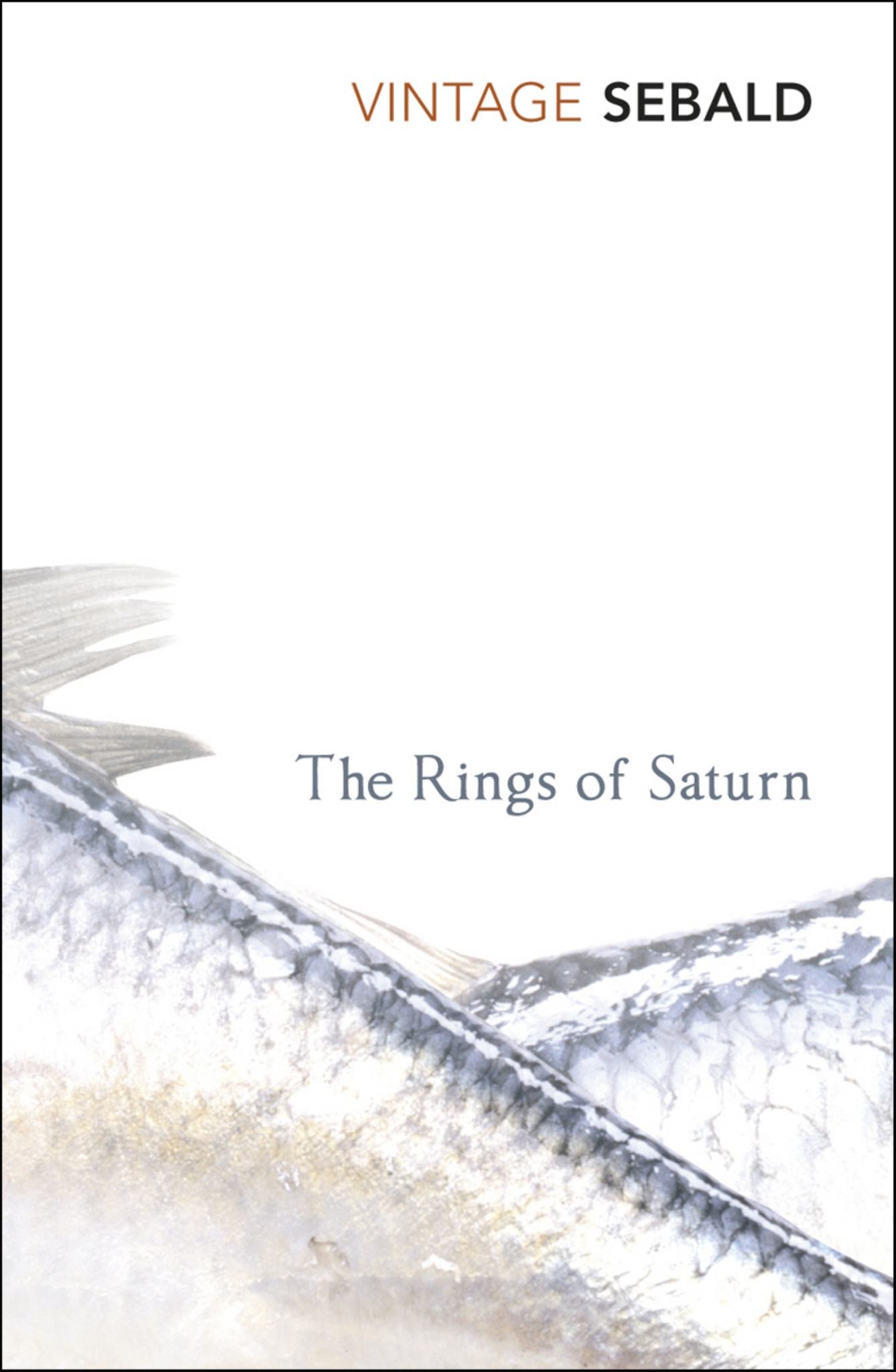 Rings of Saturn Cover Image