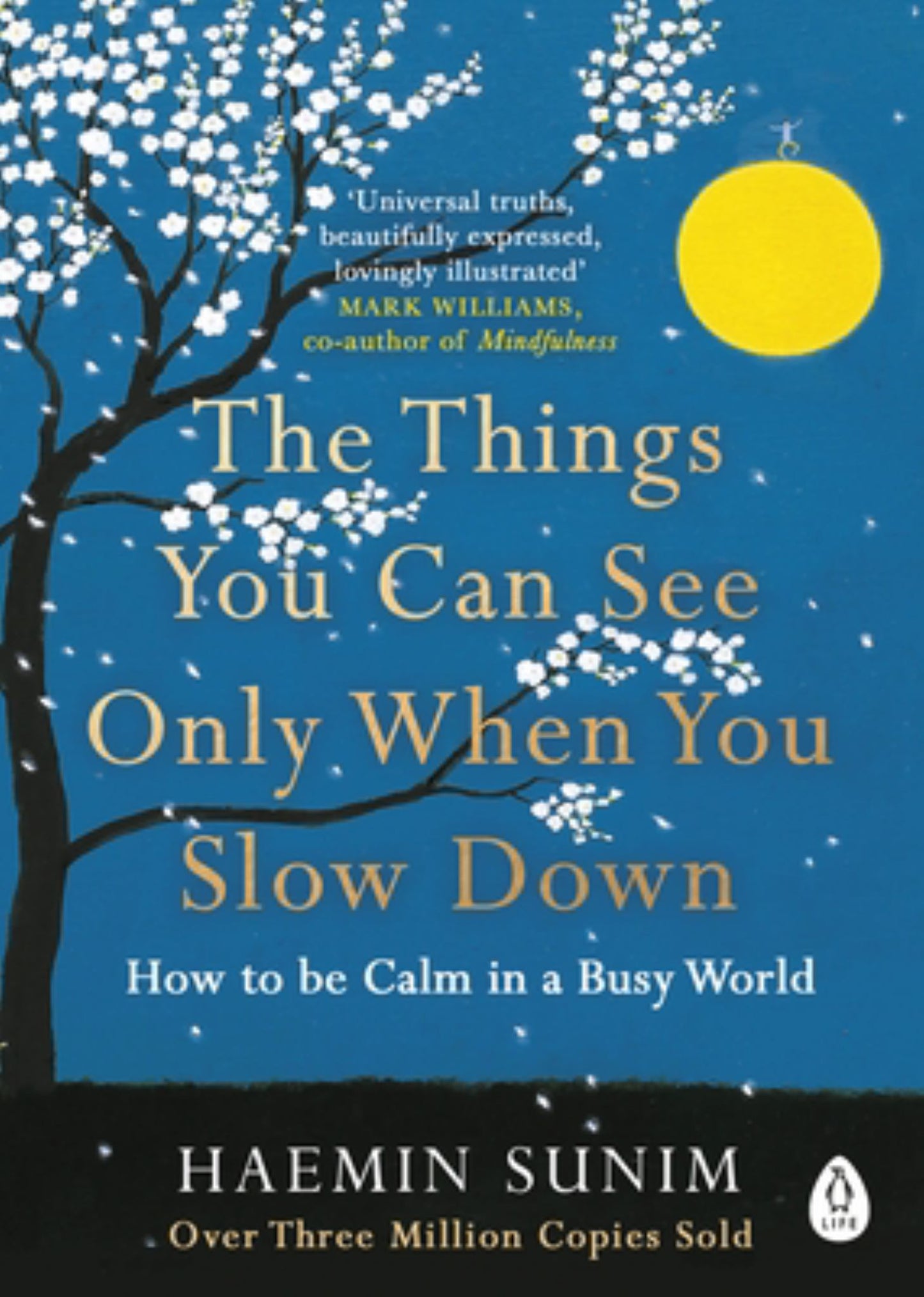Things You Can See Only When You Slow Down: How to Be Calm in a Busy World Cover Image