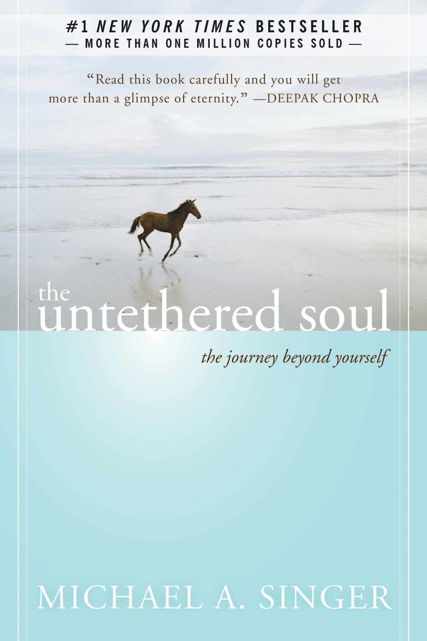Untethered Soul : The Journey Beyond Yourself Cover Image