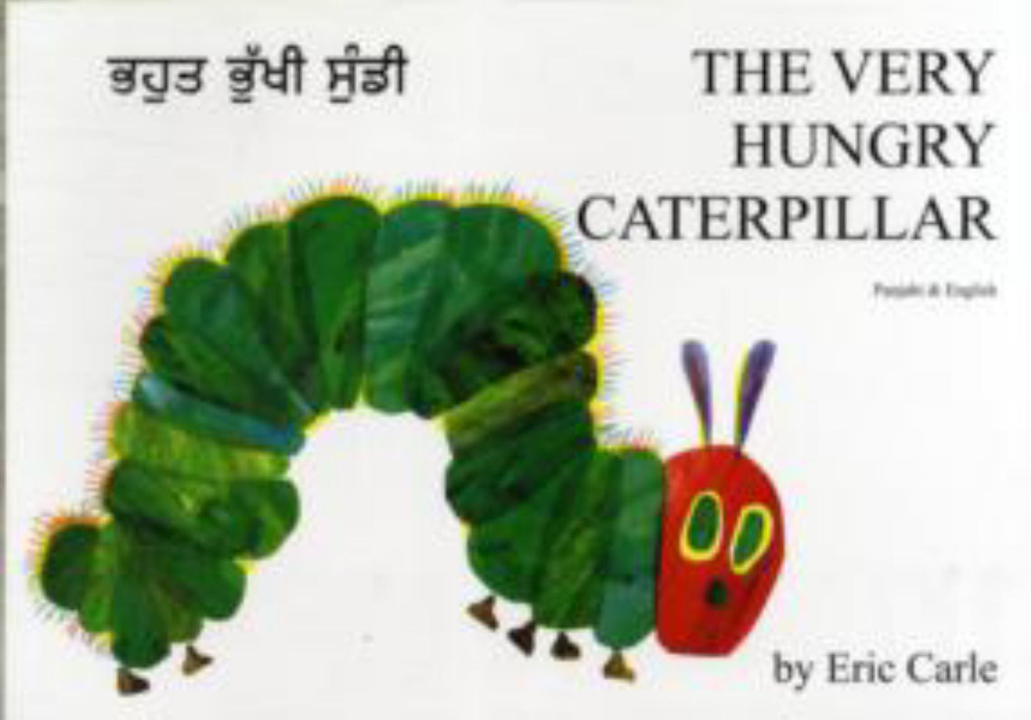 Very Hungry Caterpillar Punjabi & English Edition Cover Image