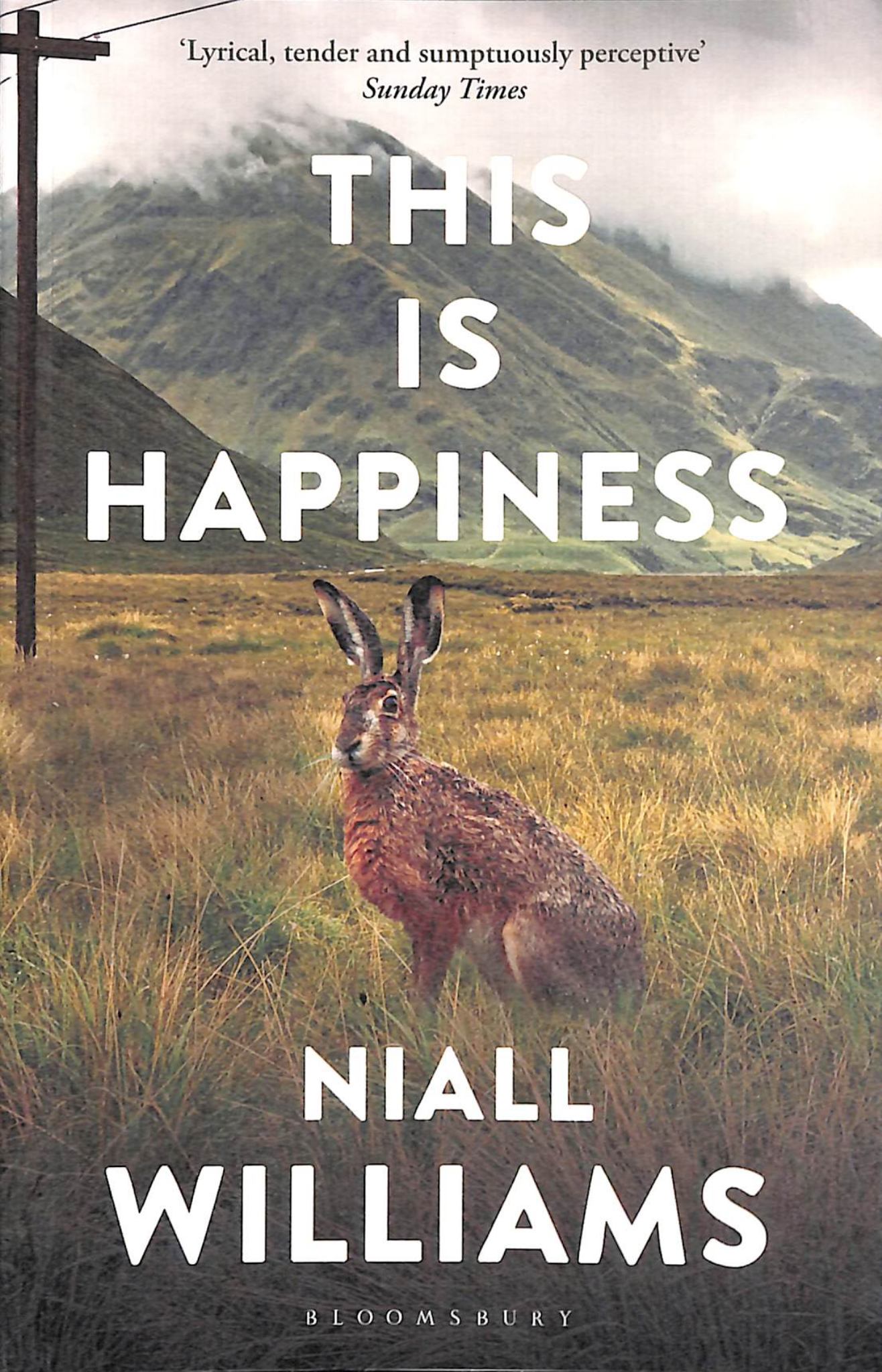 This Is Happiness Cover Image
