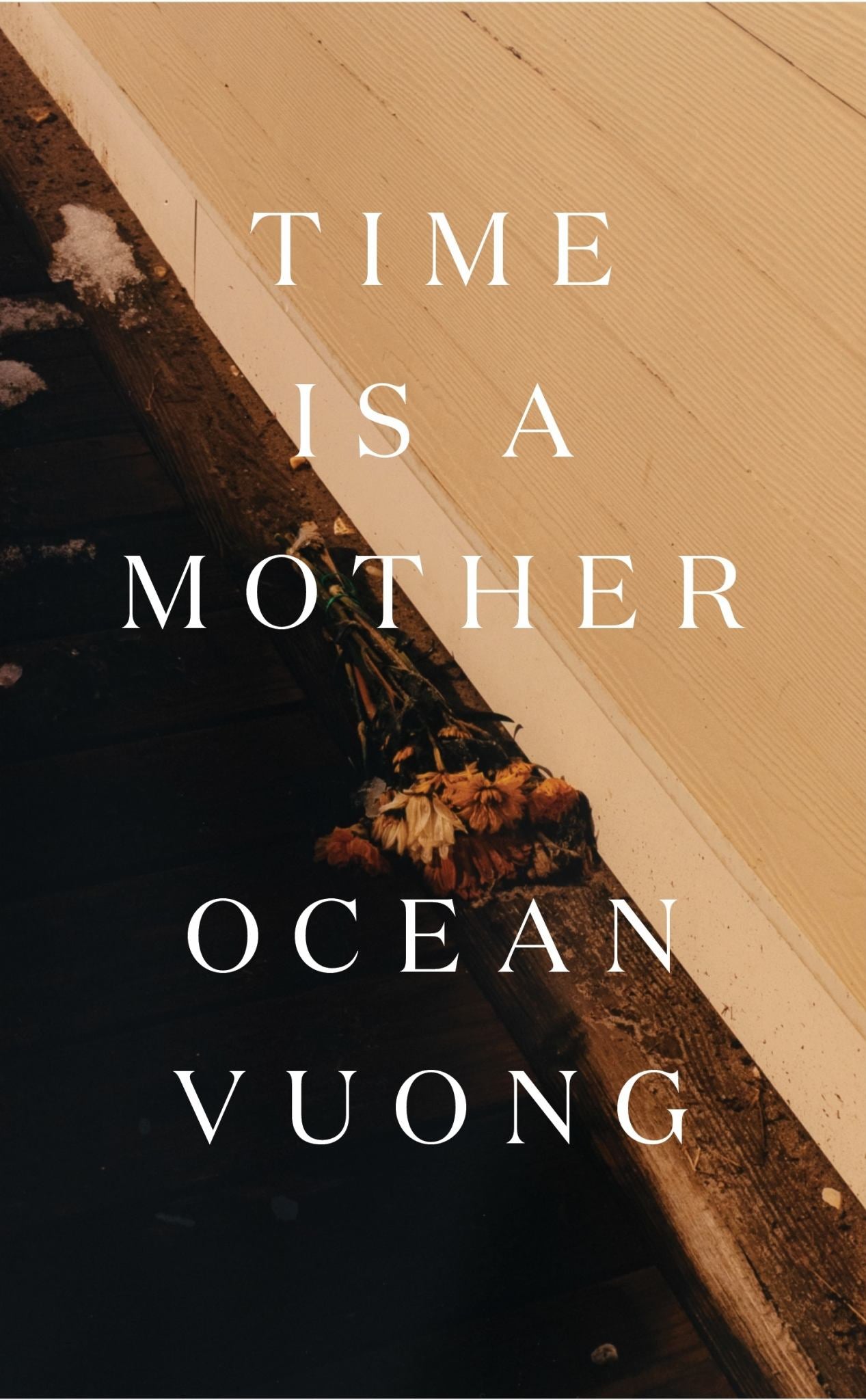 Time Is a Mother Cover Image