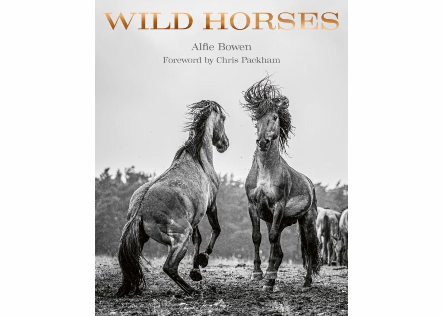 Wild Horses Cover Image