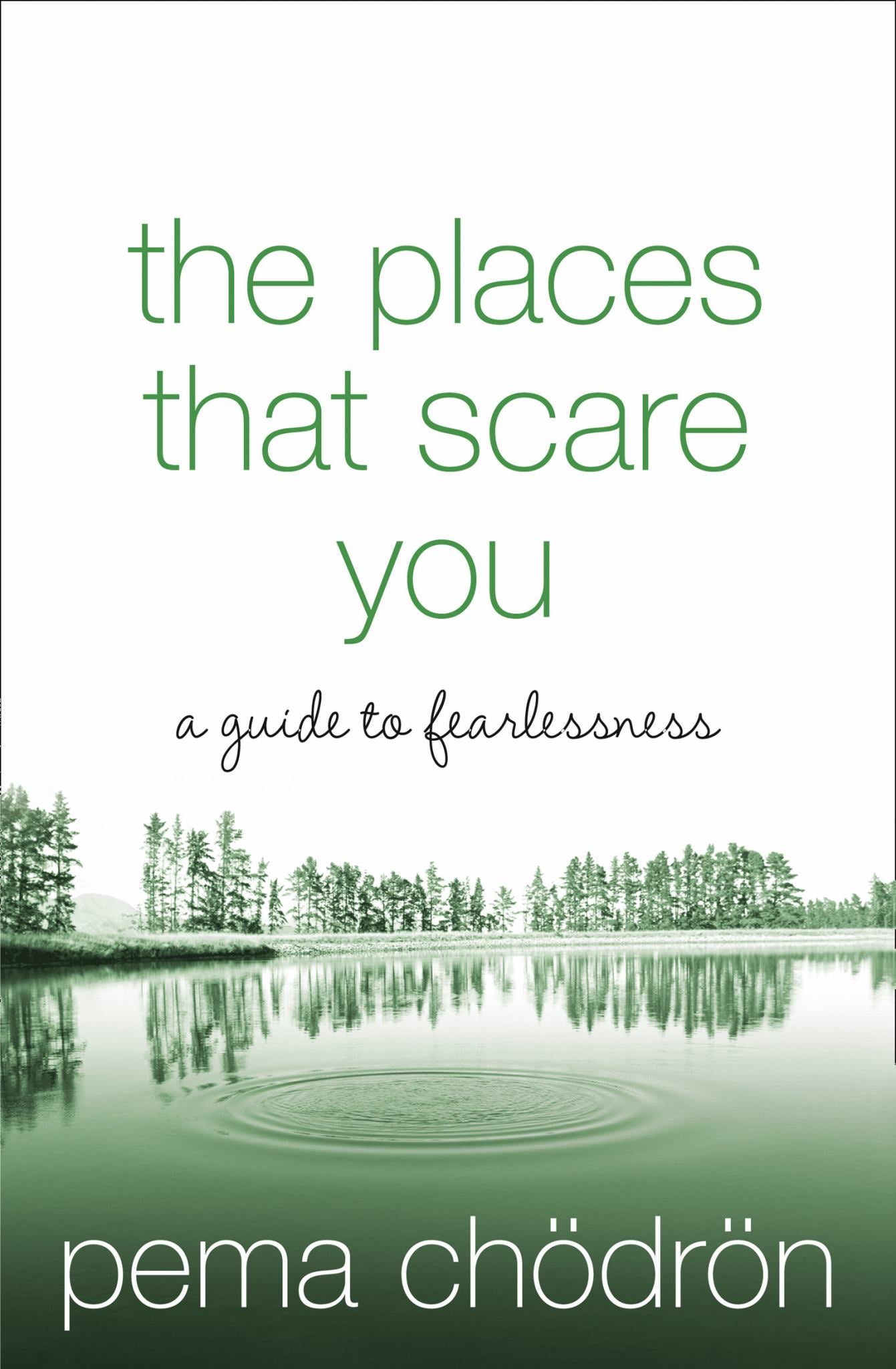 The Places That Scare You Cover Image