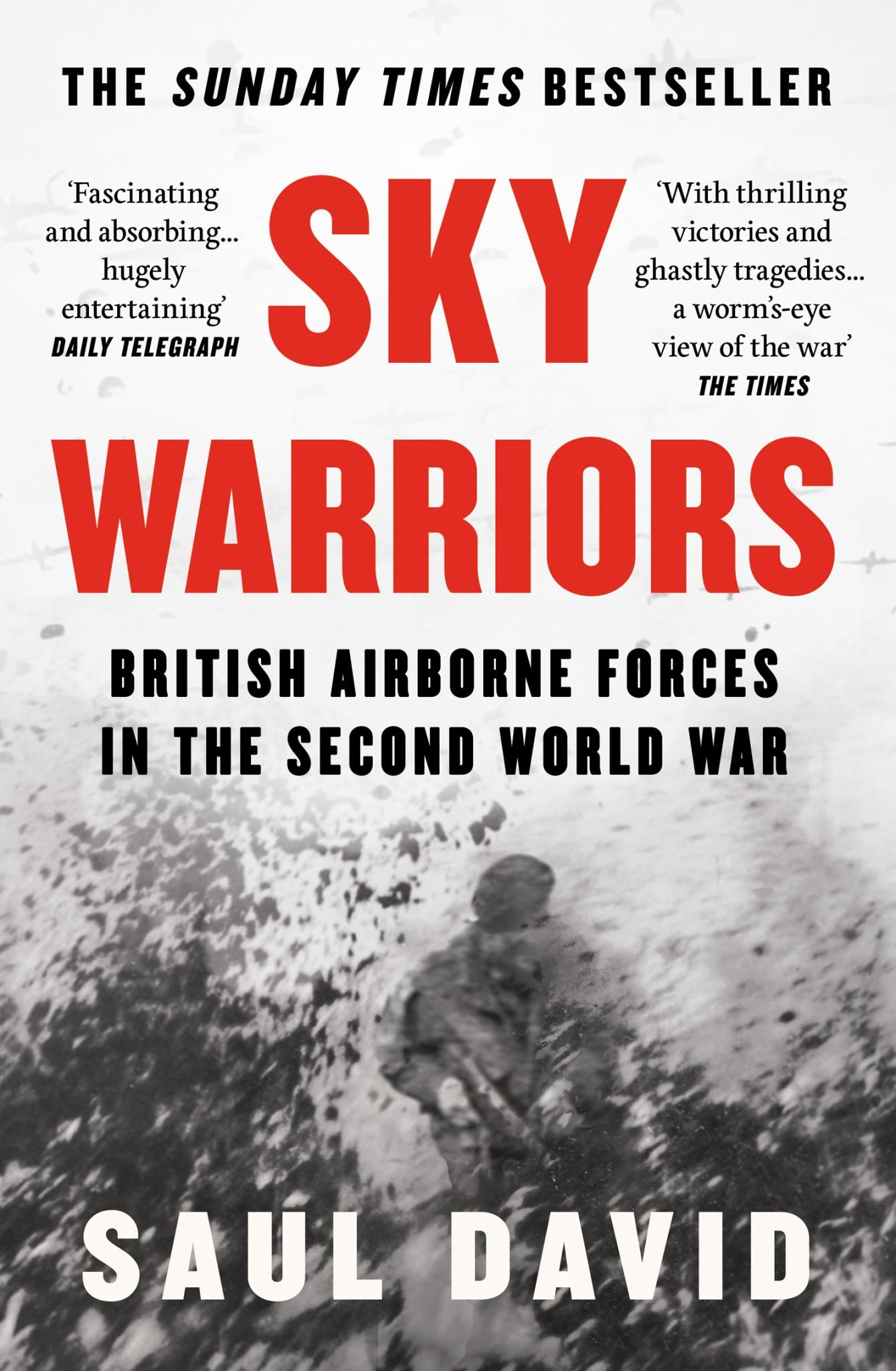 Sky Warriors Cover Image