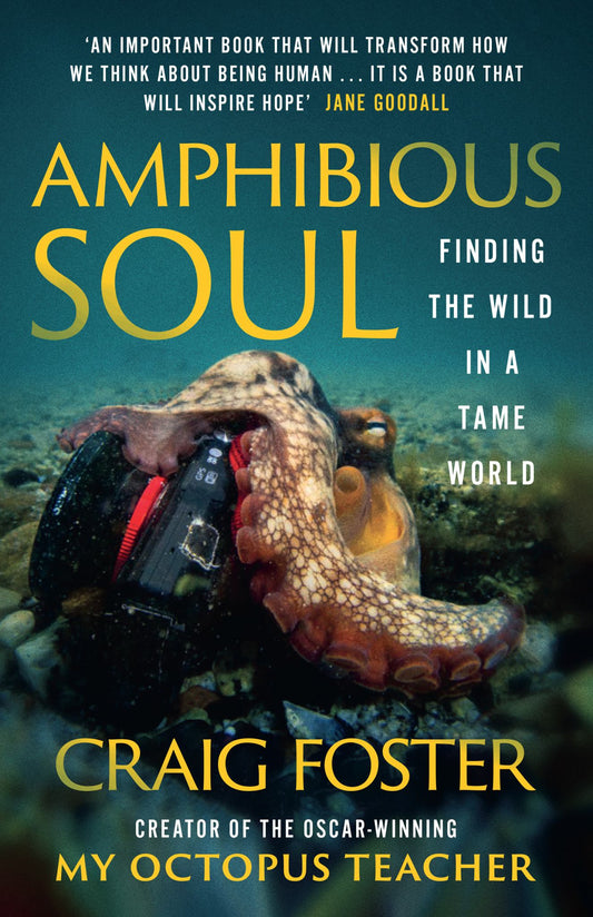 Amphibious Soul Cover Image
