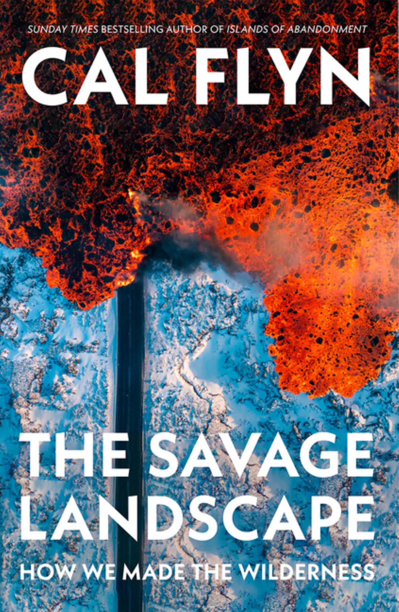 The Savage Landscape Cover Image