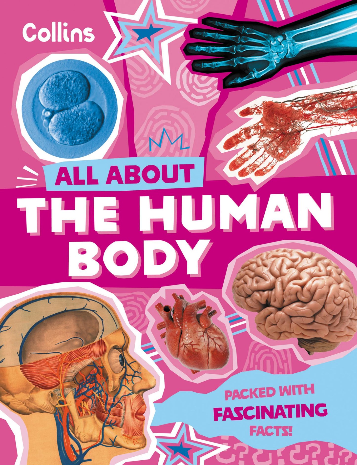 The Human Body Cover Image