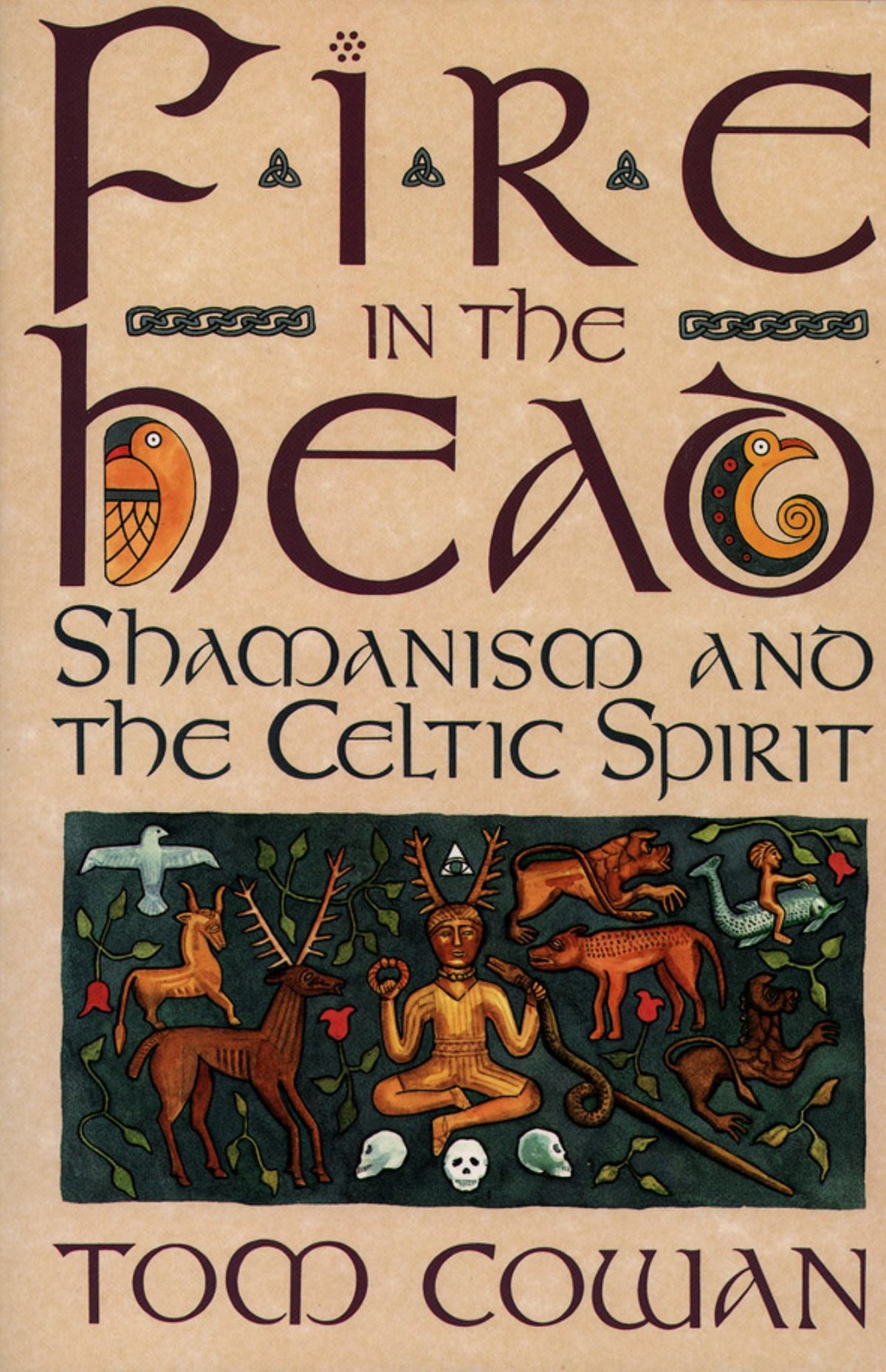 Fire in the Head Cover Image