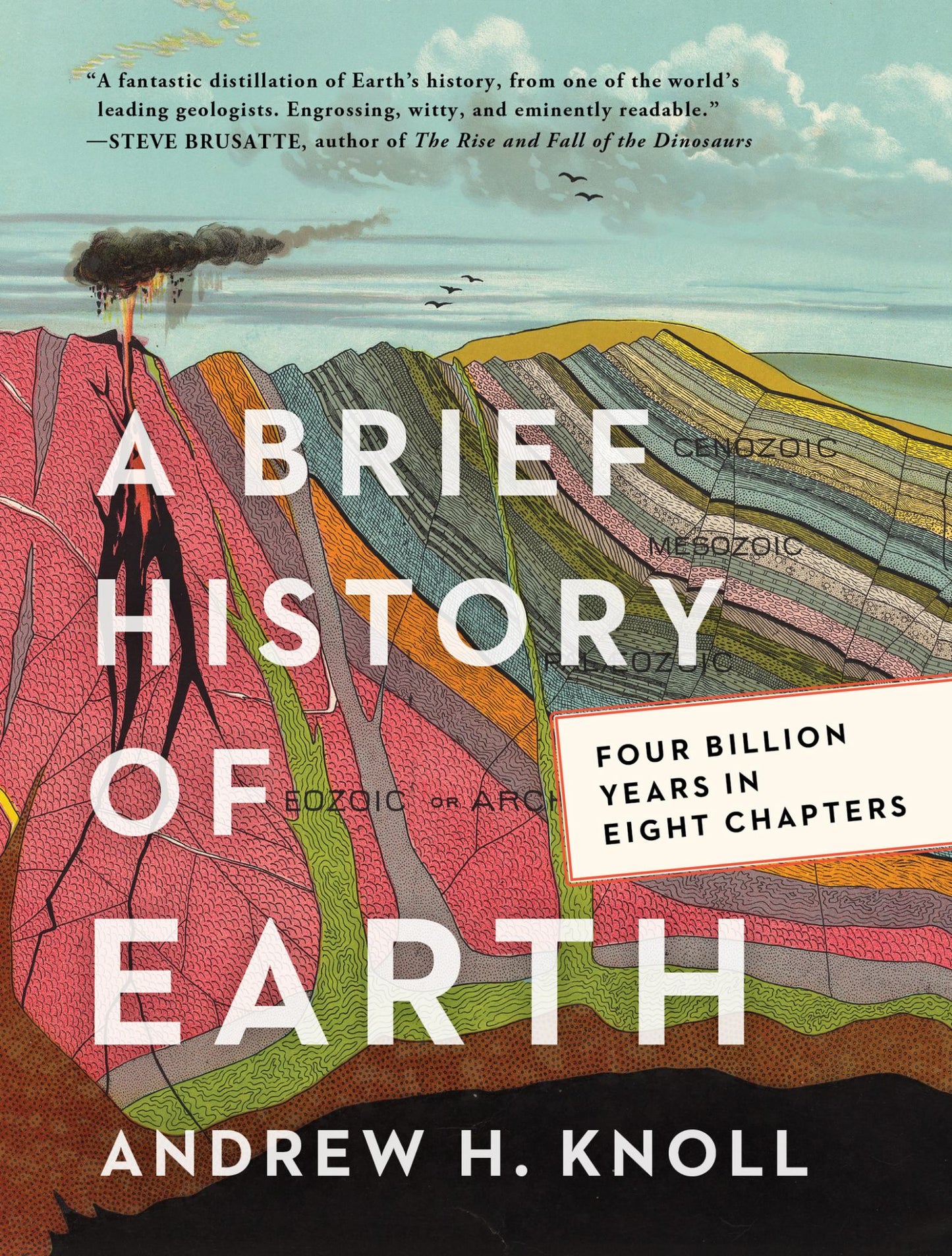 A Brief History of Earth Cover Image