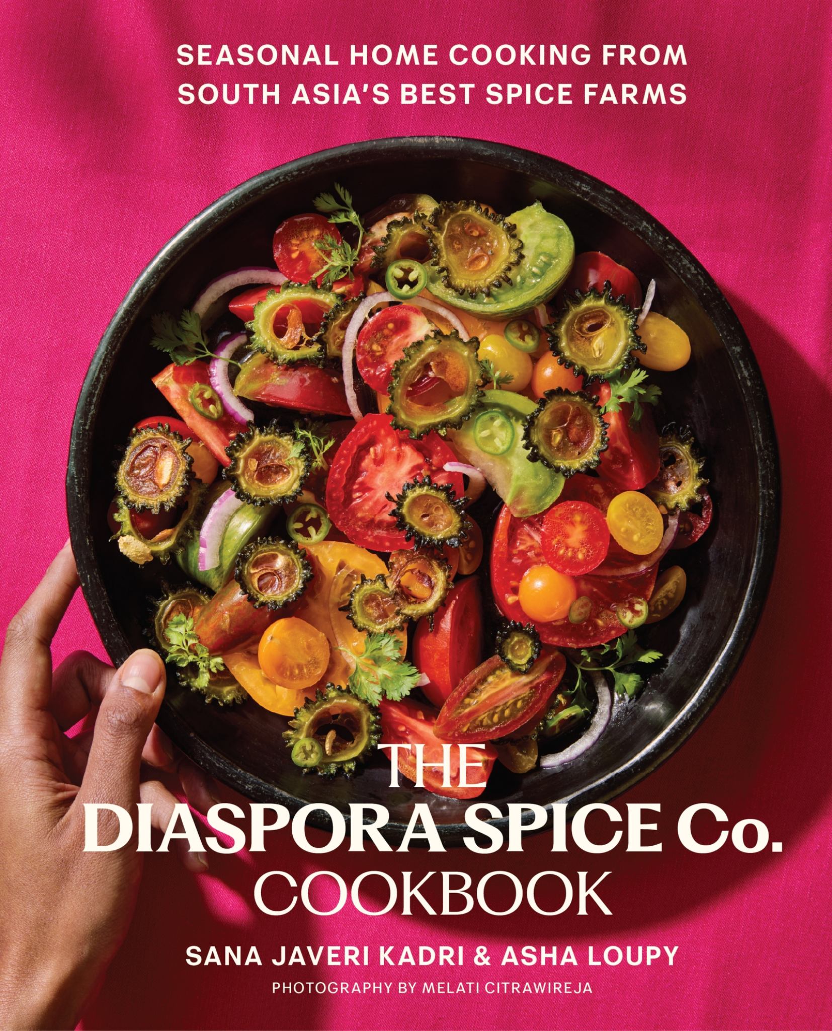 The Diaspora Spice Co. Cookbook Cover Image