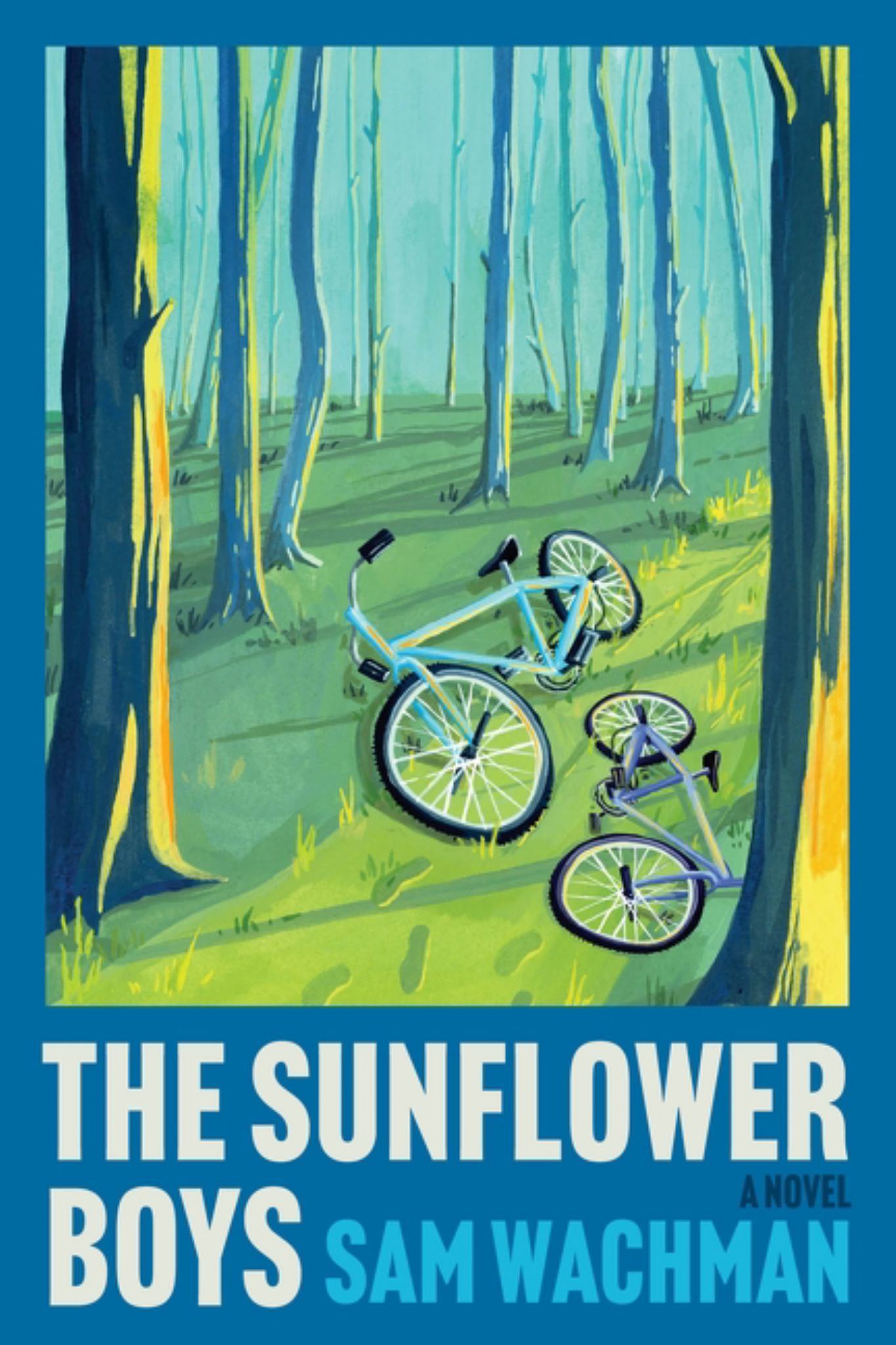 The Sunflower Boys Cover Image