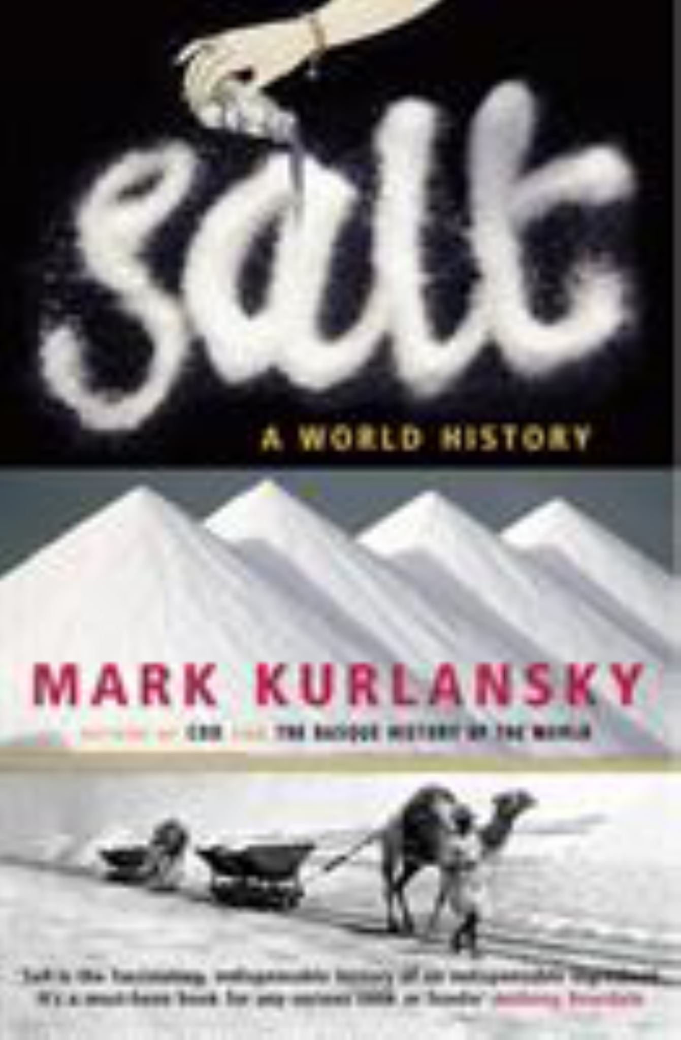 Salt Cover Image