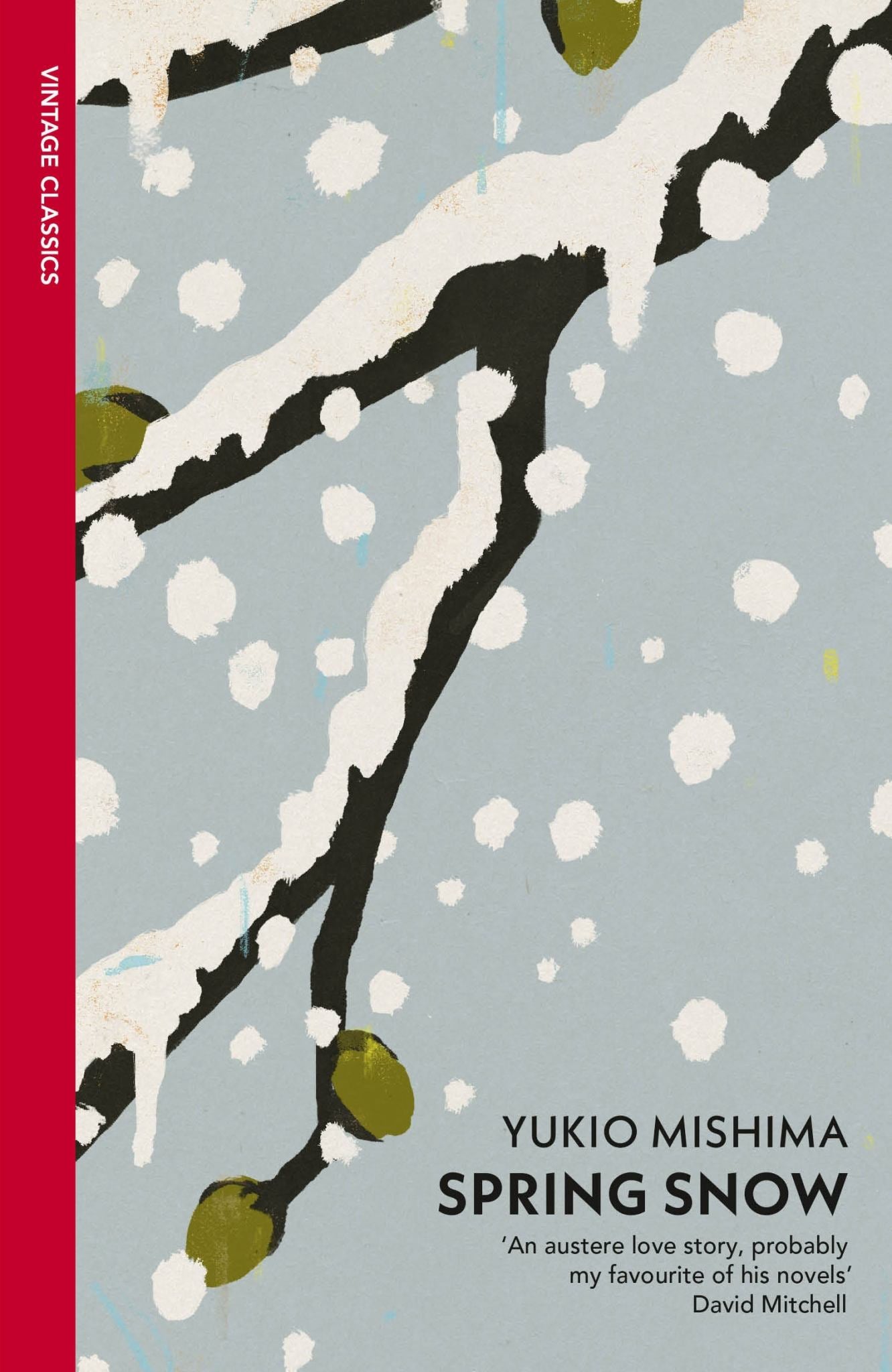 Spring Snow Cover Image