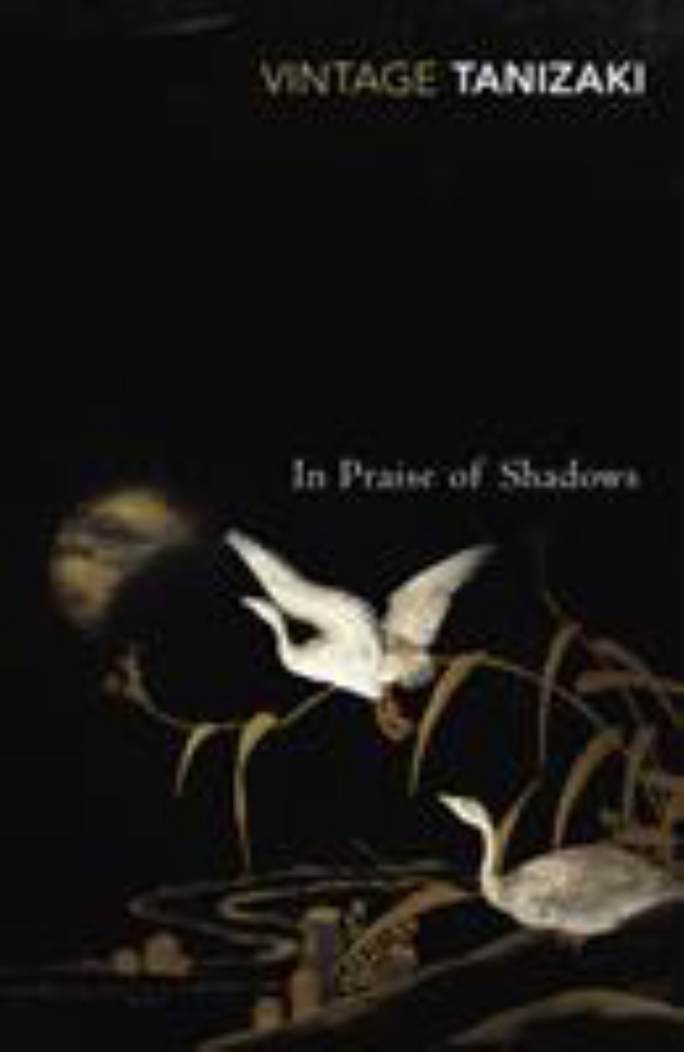 In Praise of Shadows Cover Image