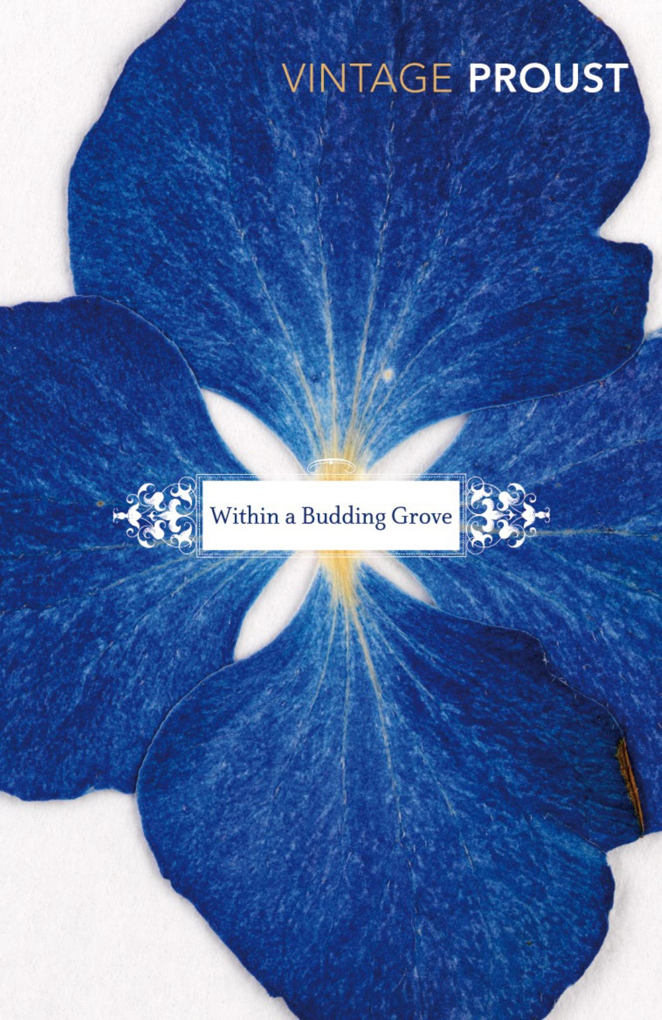 In Search of Lost Time, Volume II: Within a Budding Grove Cover Image