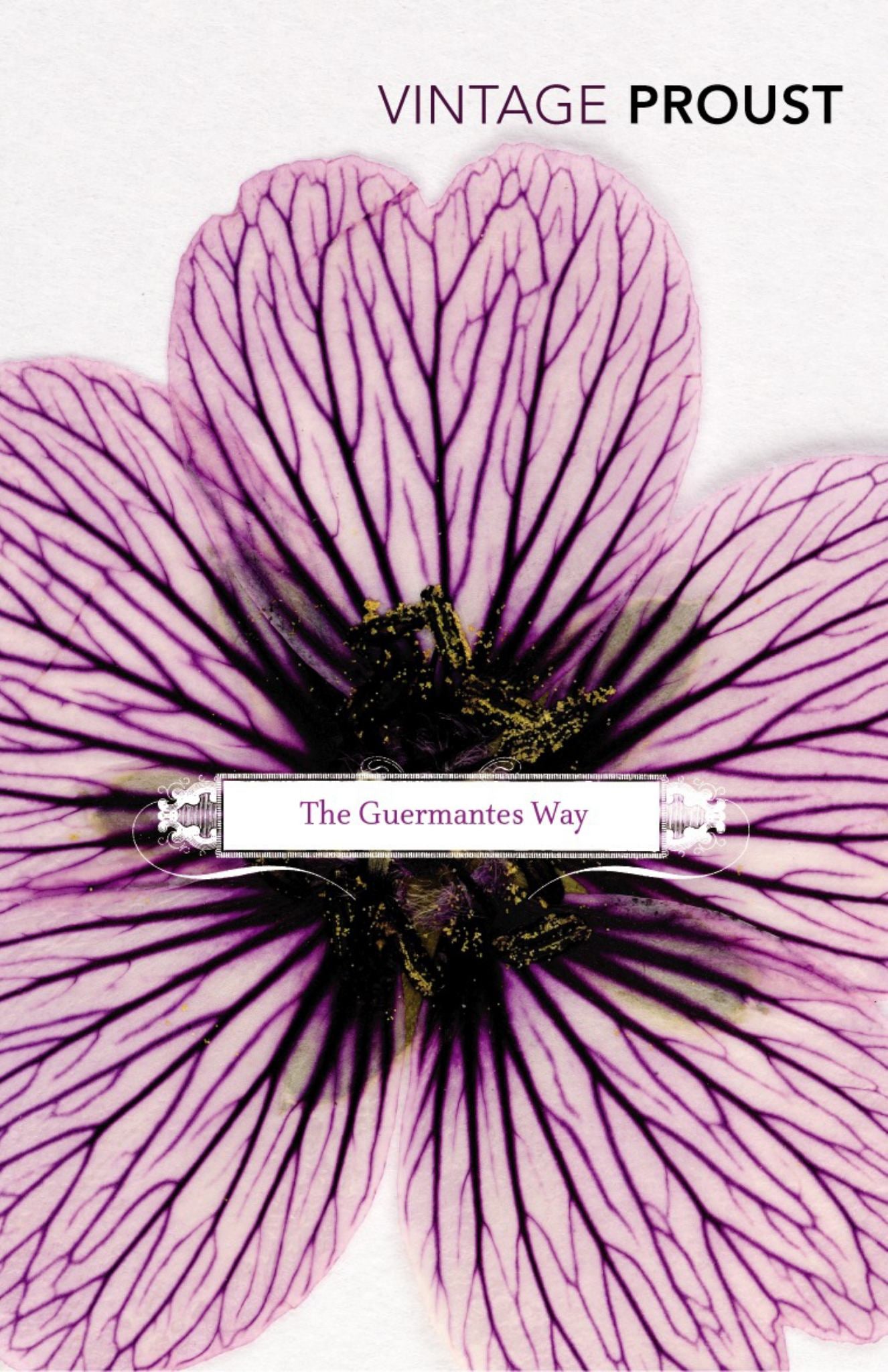 In Search of Lost Time, Volume III: the Guermantes Way Cover Image