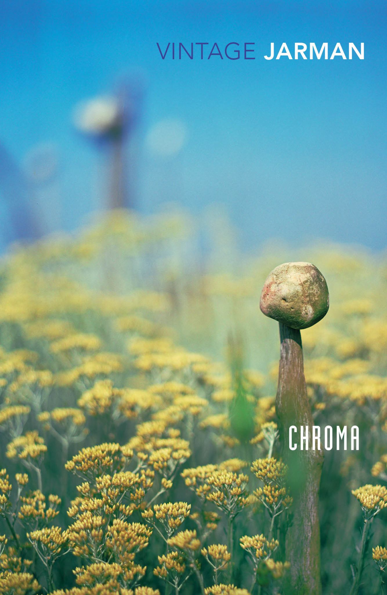 Chroma Cover Image