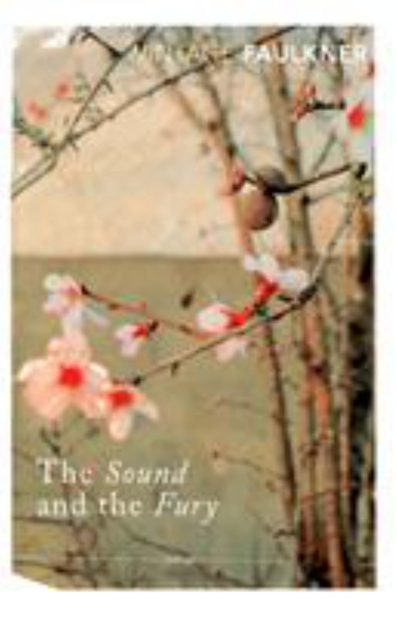 The Sound and the Fury Cover Image