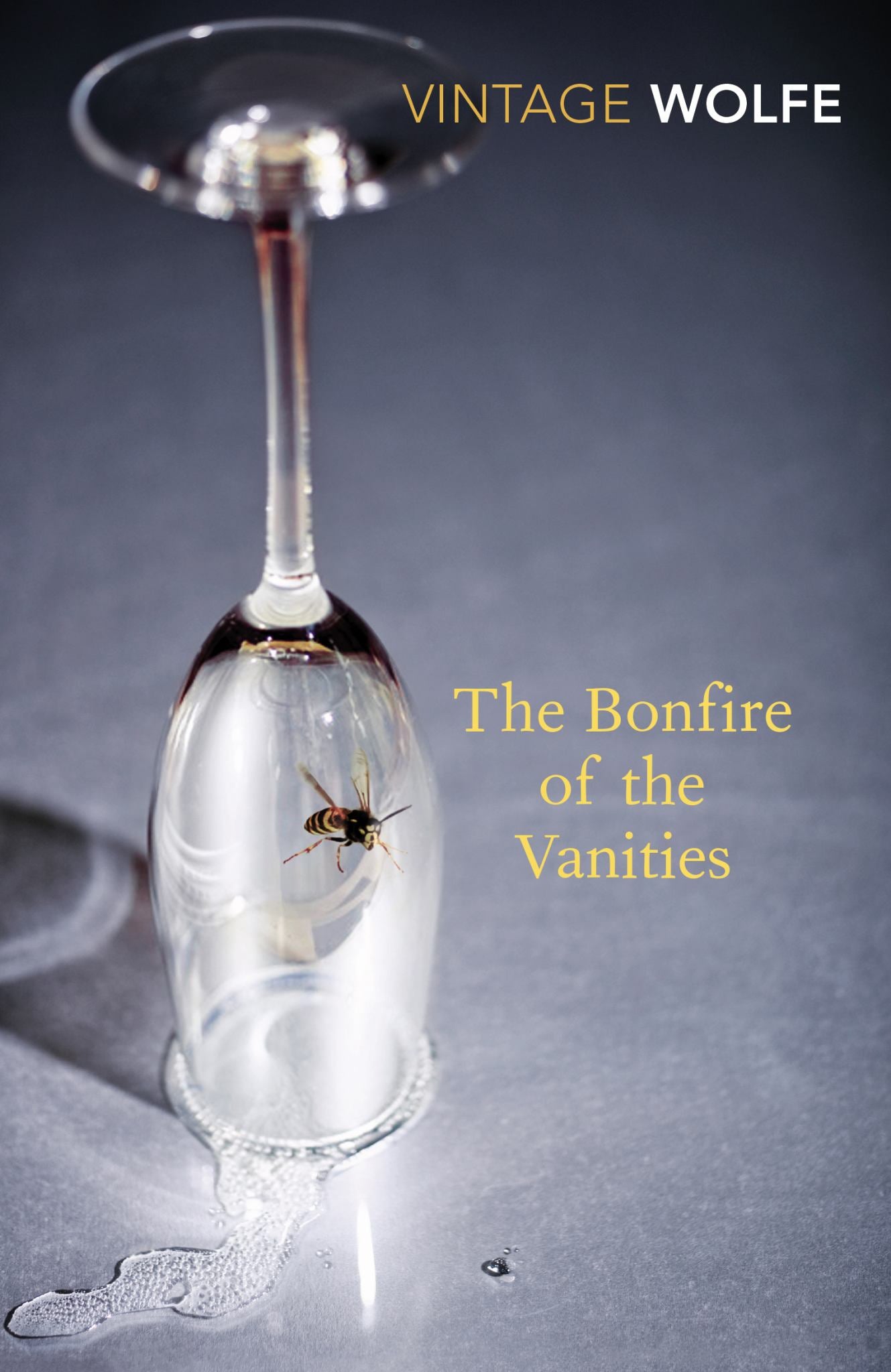 The Bonfire of the Vanities Cover Image