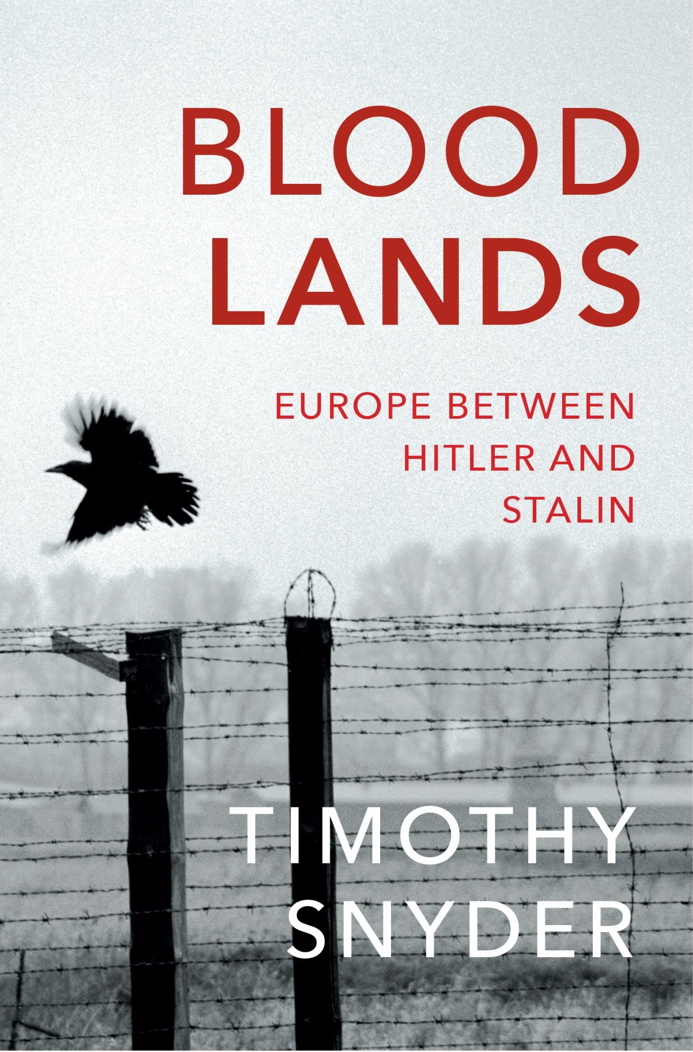 Bloodlands Cover Image