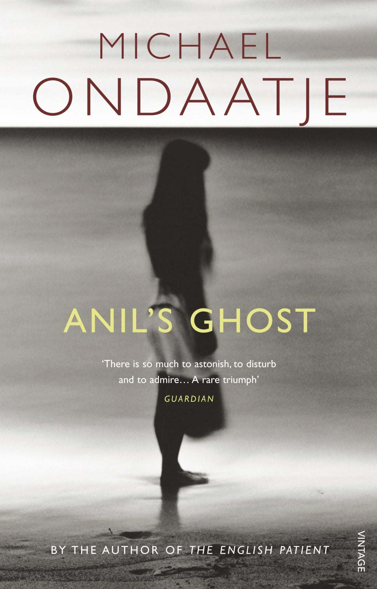 Anil's Ghost Cover Image