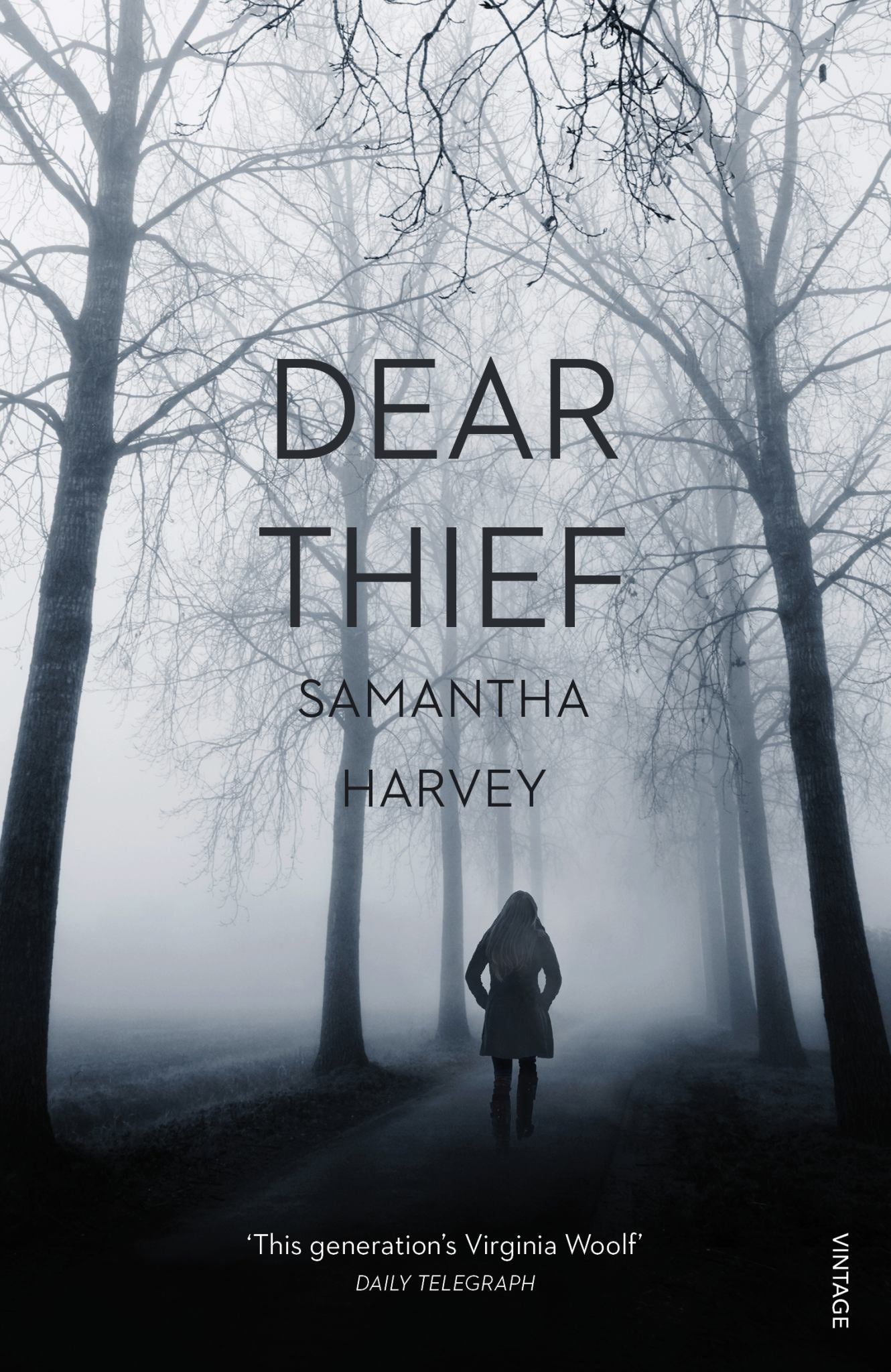 Dear Thief Cover Image