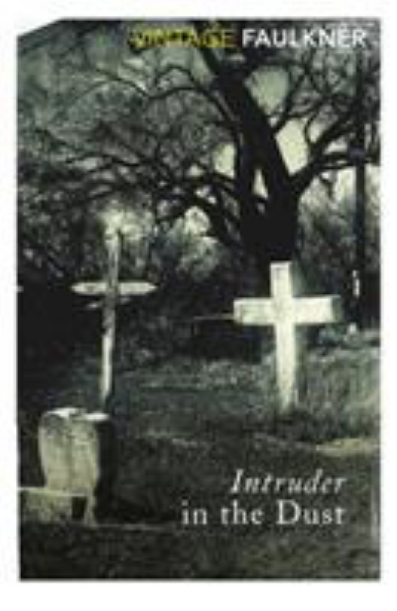Intruder in the Dust Cover Image
