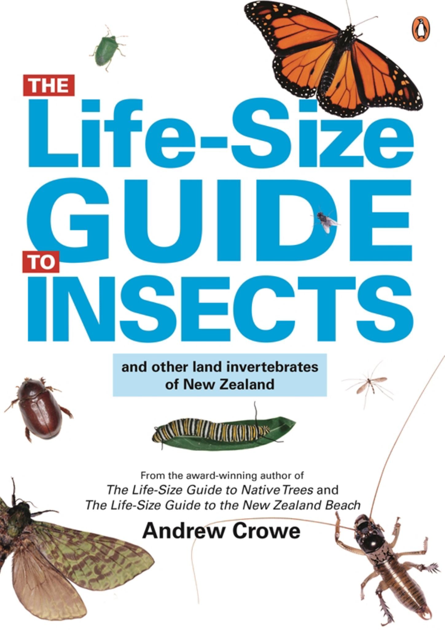 The Life-Size Guide to Insects and Other Land Invertebrates of NewZealand Cover Image
