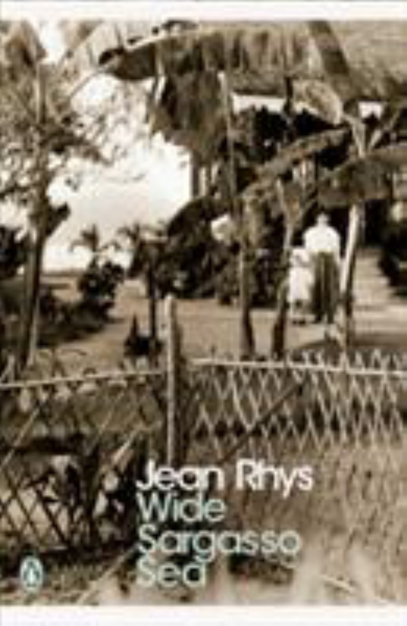 Wide Sargasso Sea Cover Image