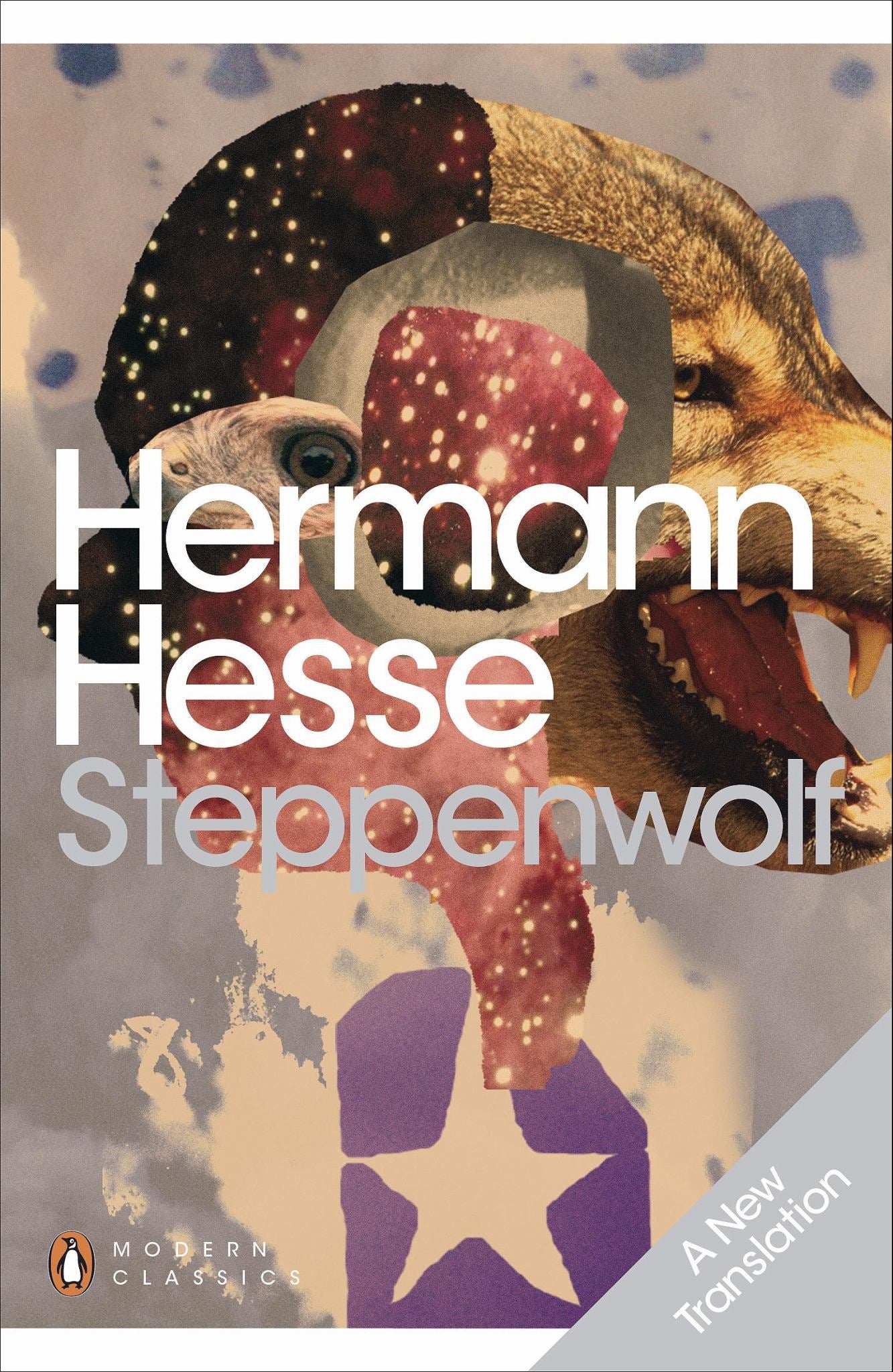 Steppenwolf Cover Image