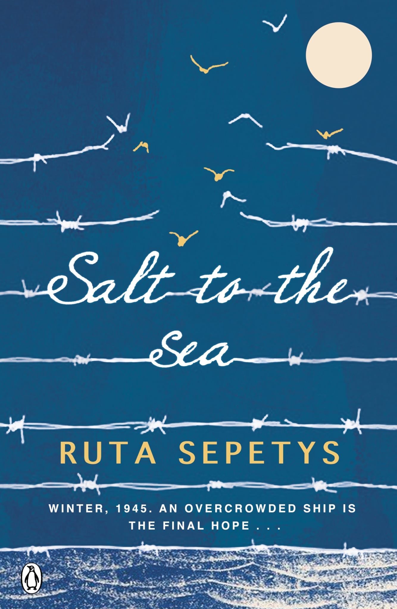 Salt to the Sea Cover Image