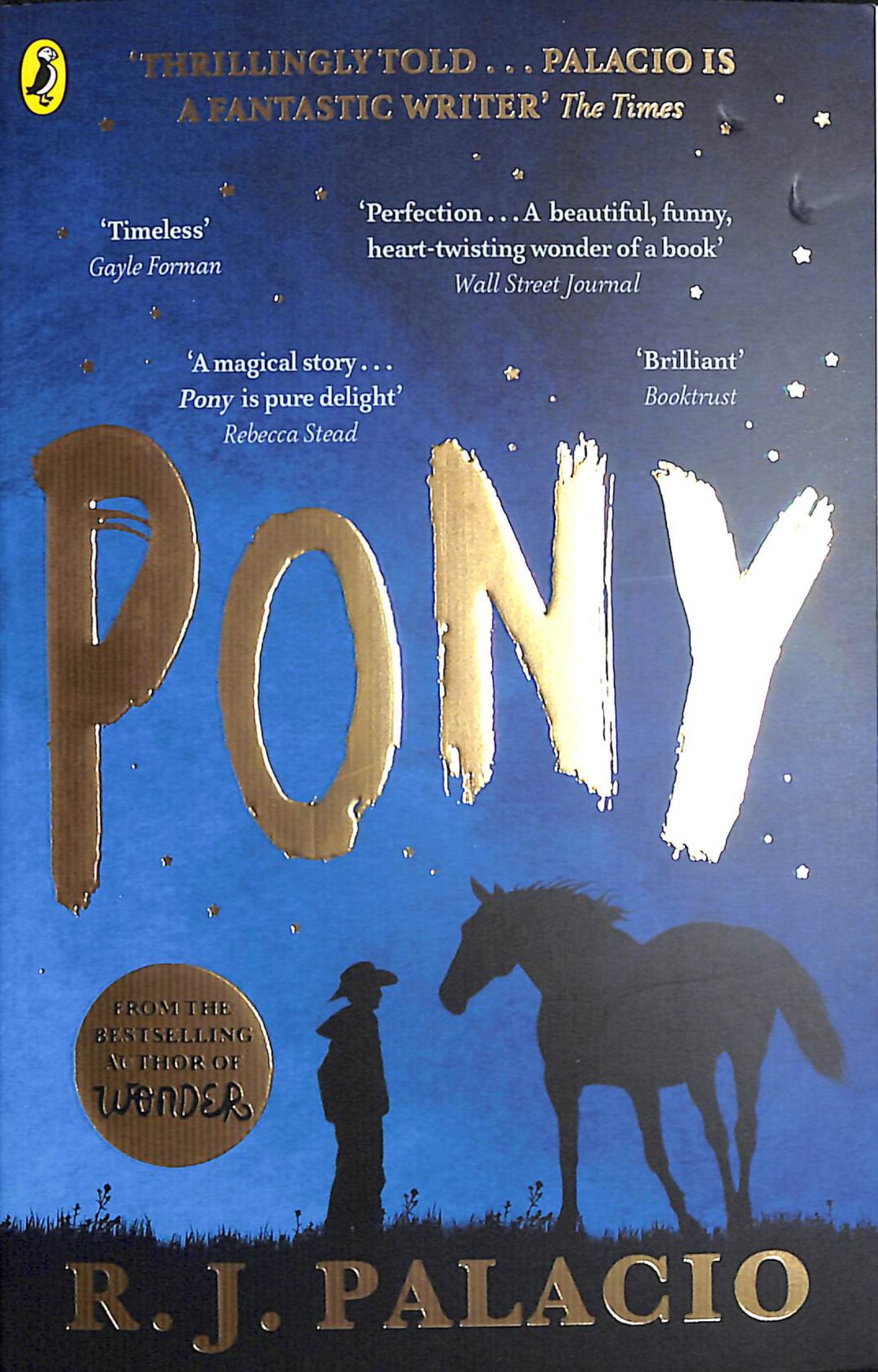 Pony Cover Image
