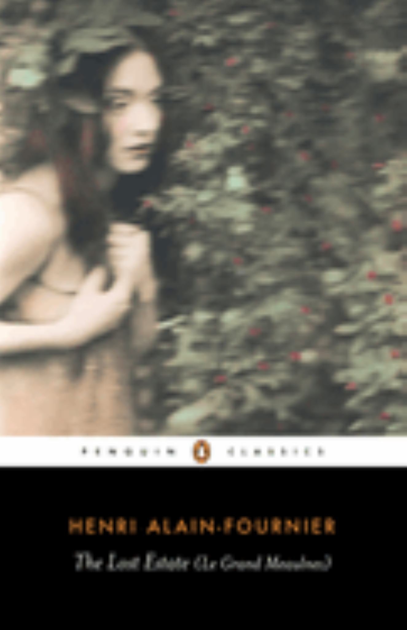 The Lost Estate (le Grand Meaulnes) Cover Image