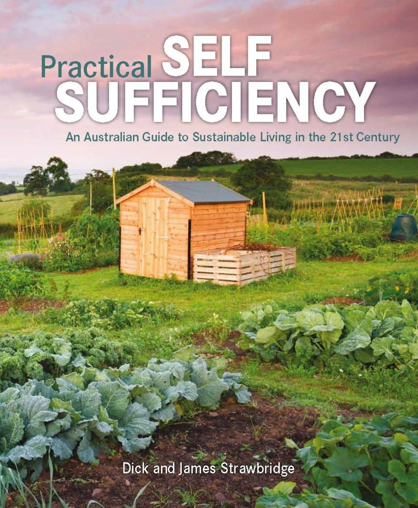 Practical Self Sufficiency Cover Image