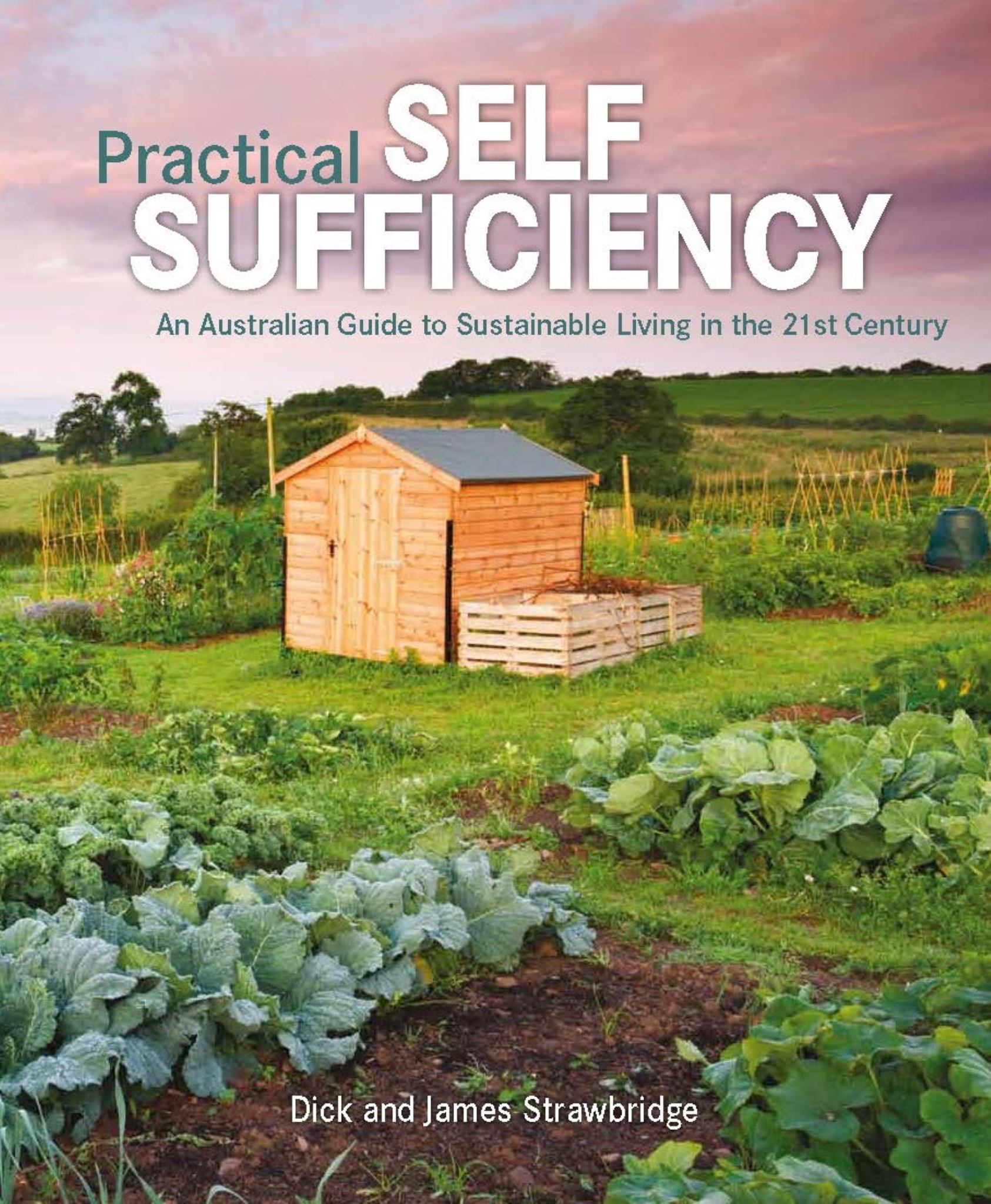 Practical Self Sufficiency Cover Image