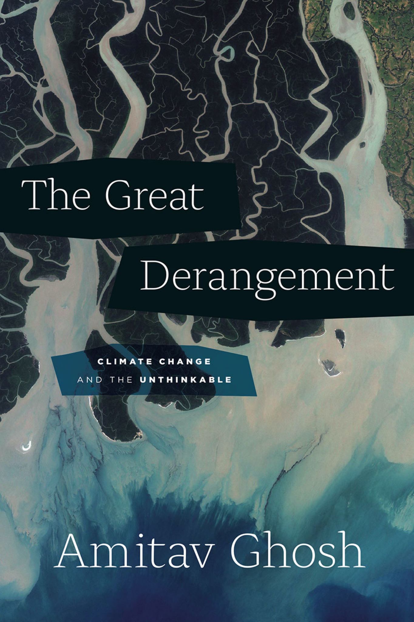 The Great Derangement Cover Image