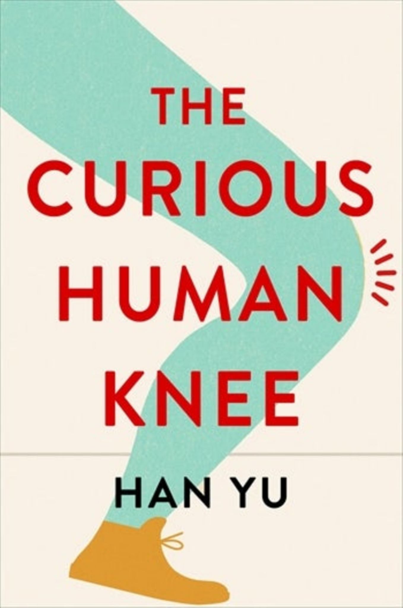 The Curious Human Knee Cover Image