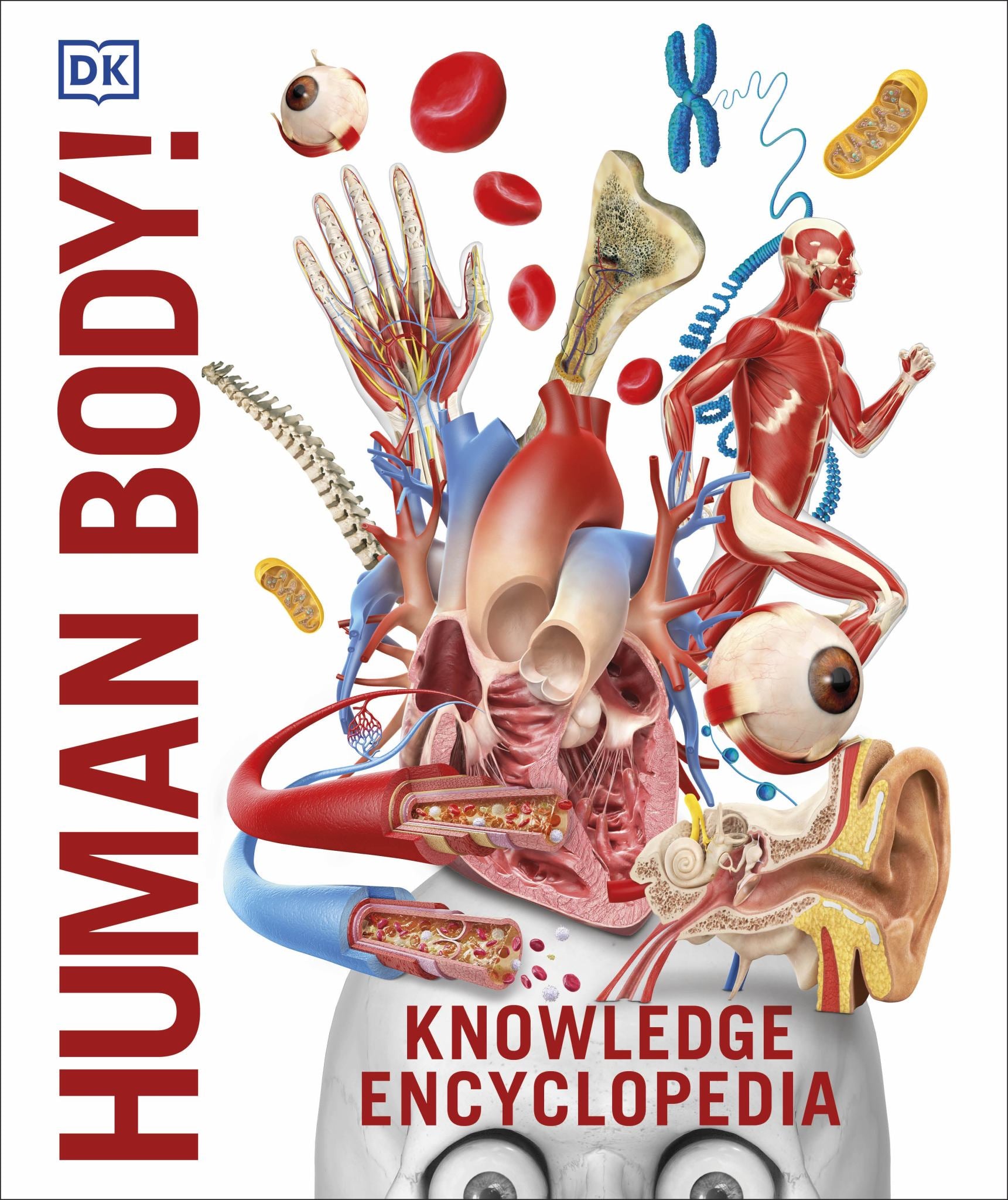Human Body! Cover Image