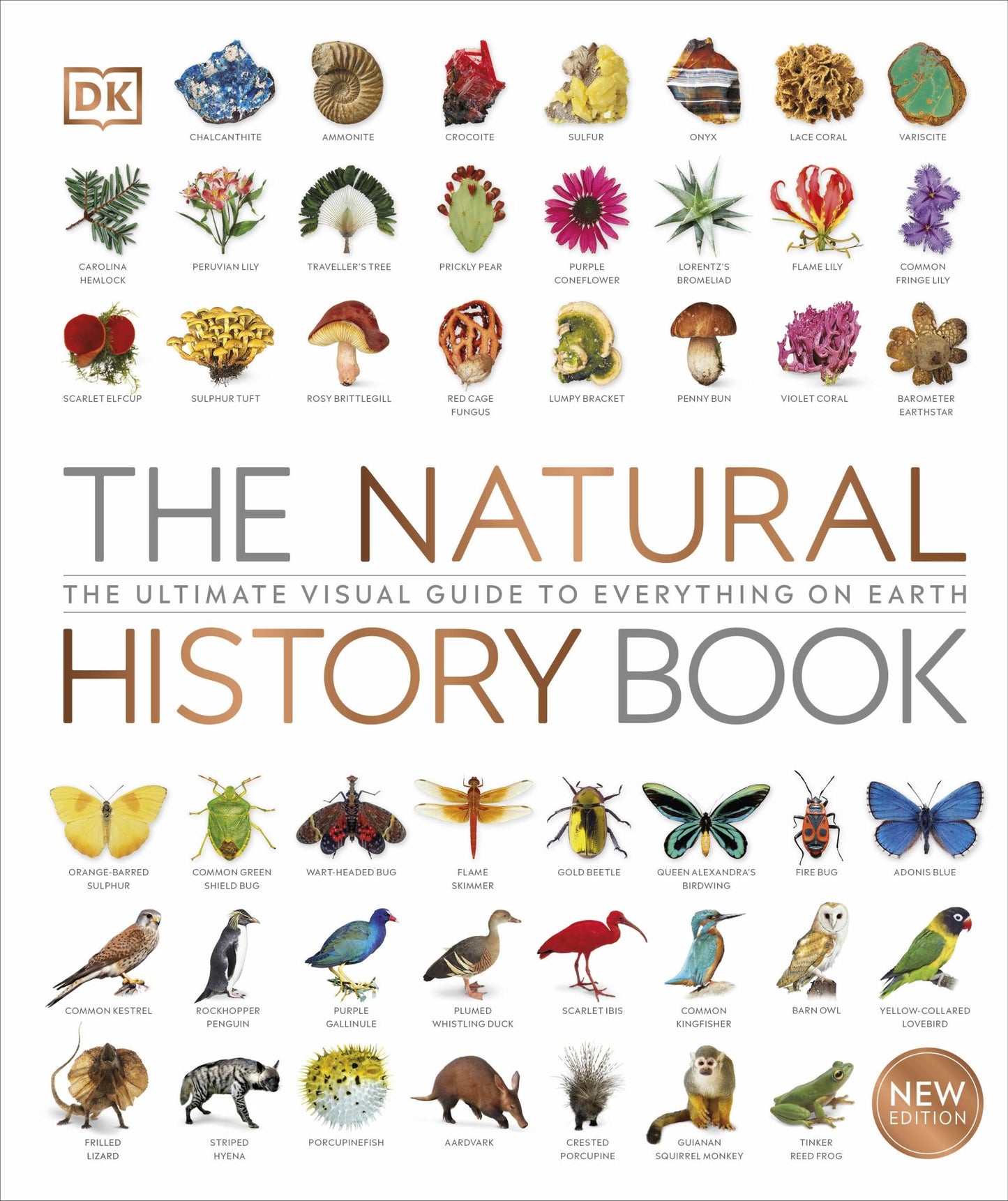 The Natural History Book Cover Image
