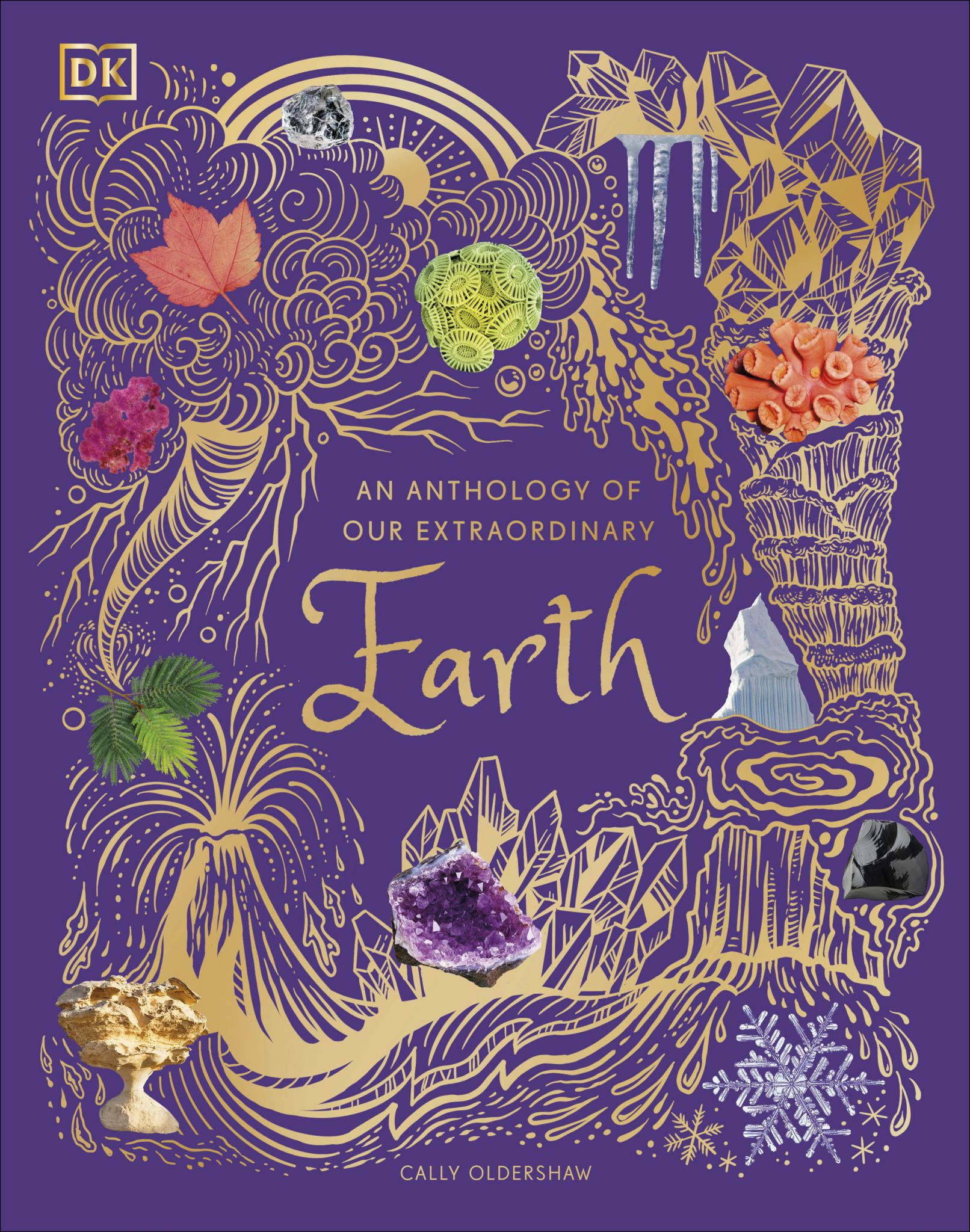 An Anthology of Our Extraordinary Earth Cover Image