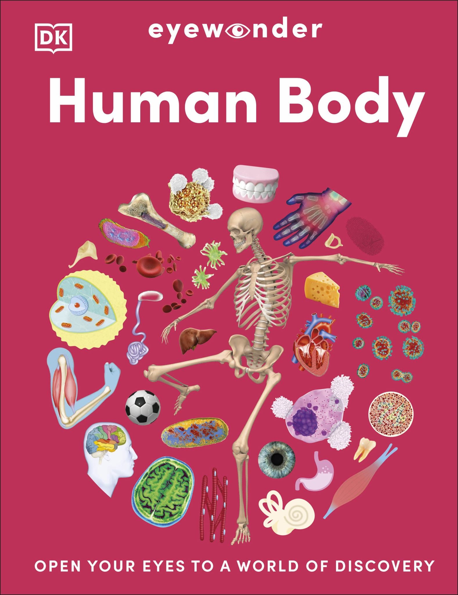 Eyewonder Human Body Cover Image