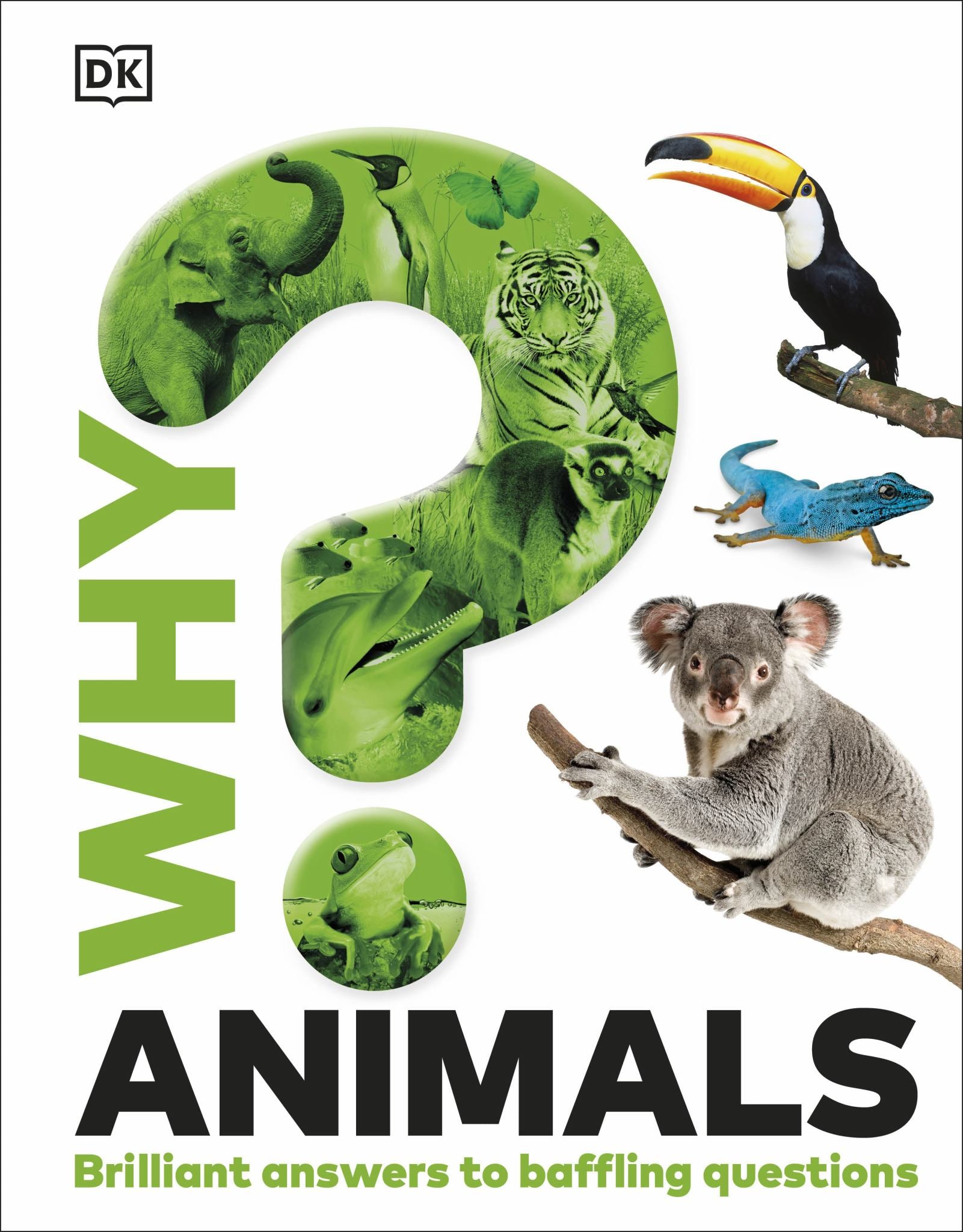 Why? Animals Cover Image