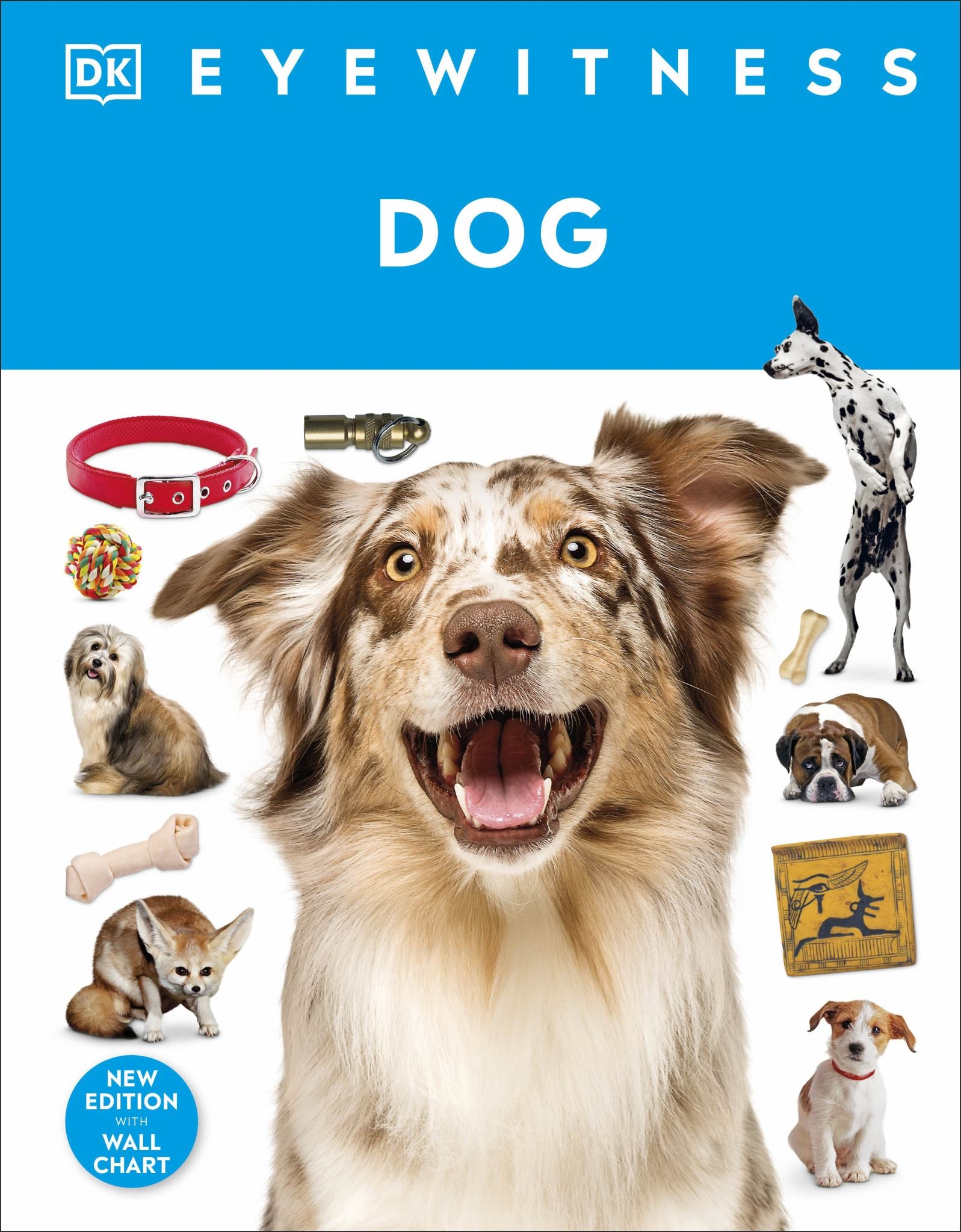 Eyewitness Dog Cover Image