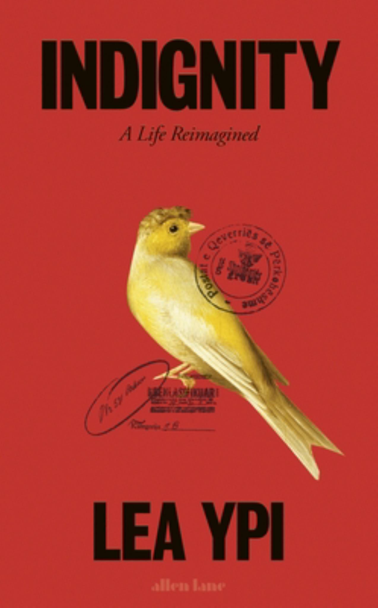 Indignity Cover Image