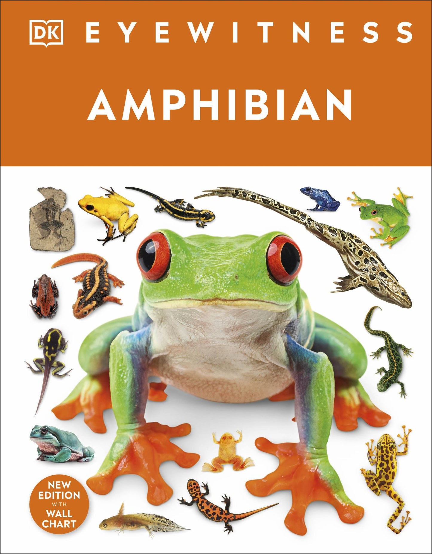 Eyewitness Amphibian Cover Image