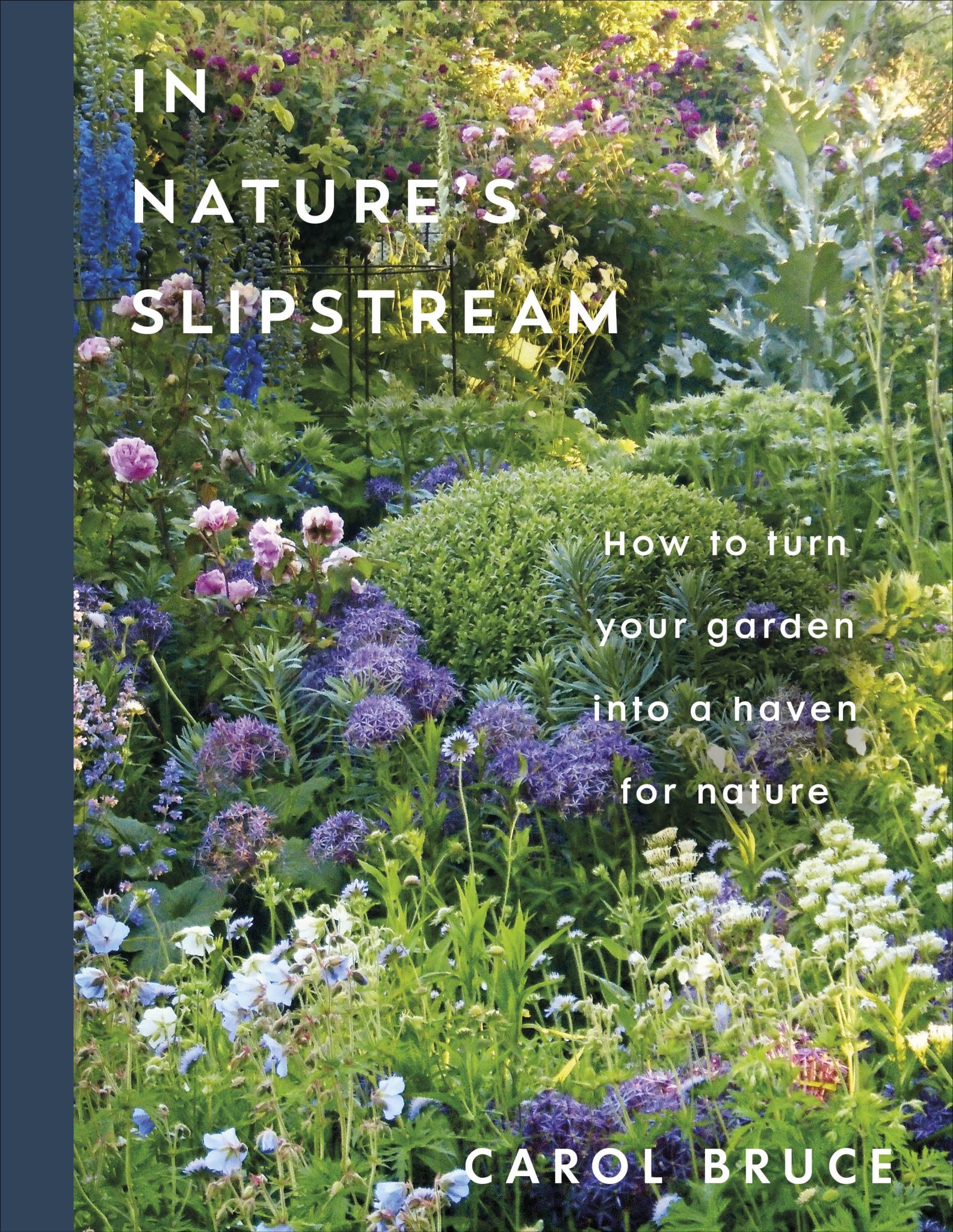 In Nature's Slipstream Cover Image